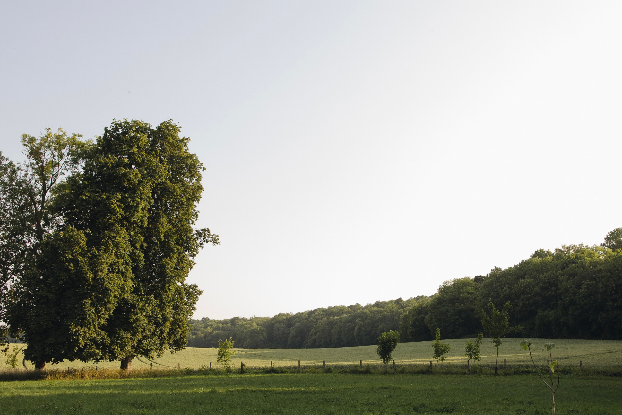 France: Jonas&Daria. Свадебный фотограф Санкт-Петербург, Юлия Радченкова