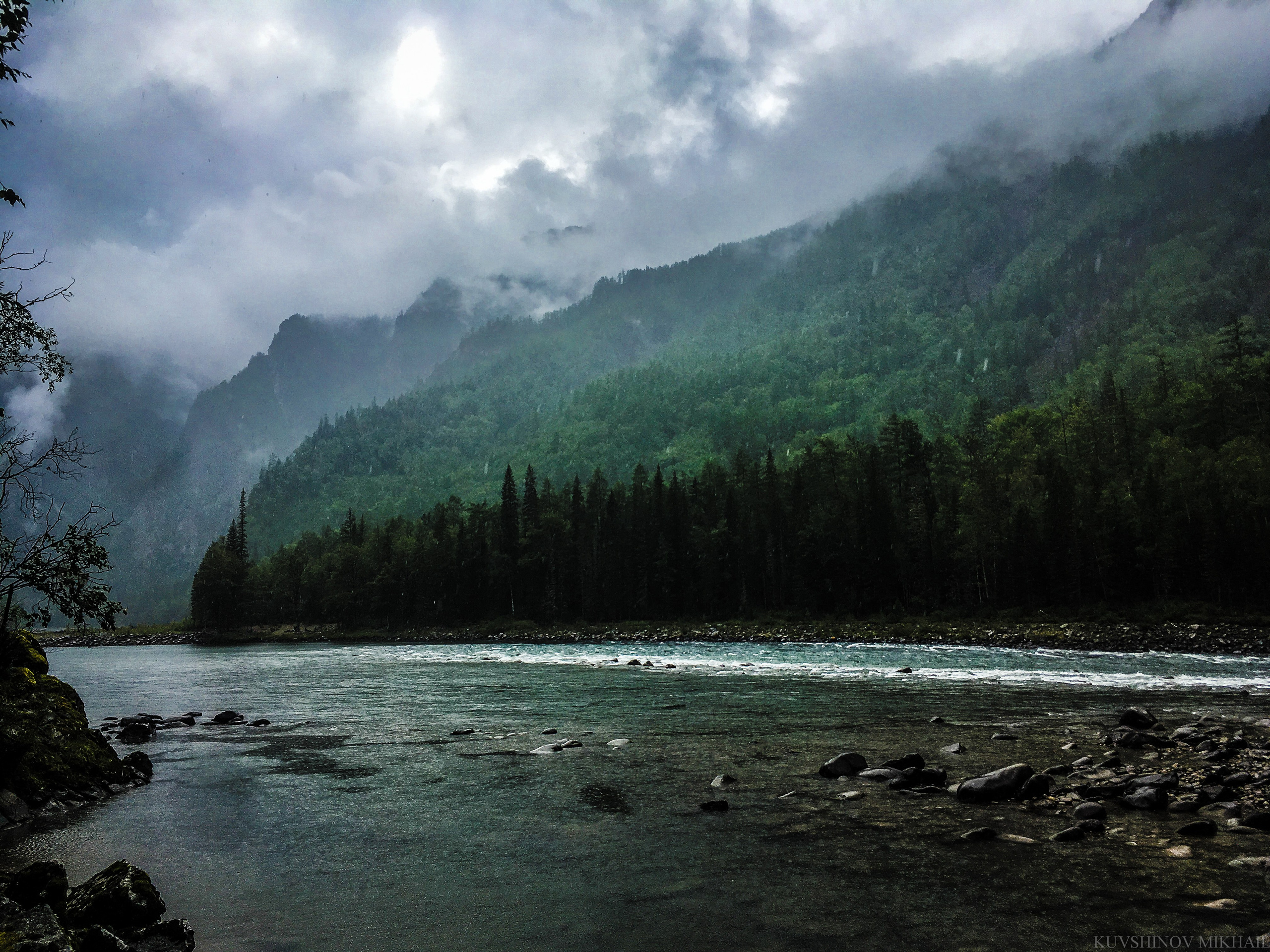 Природа. Главная