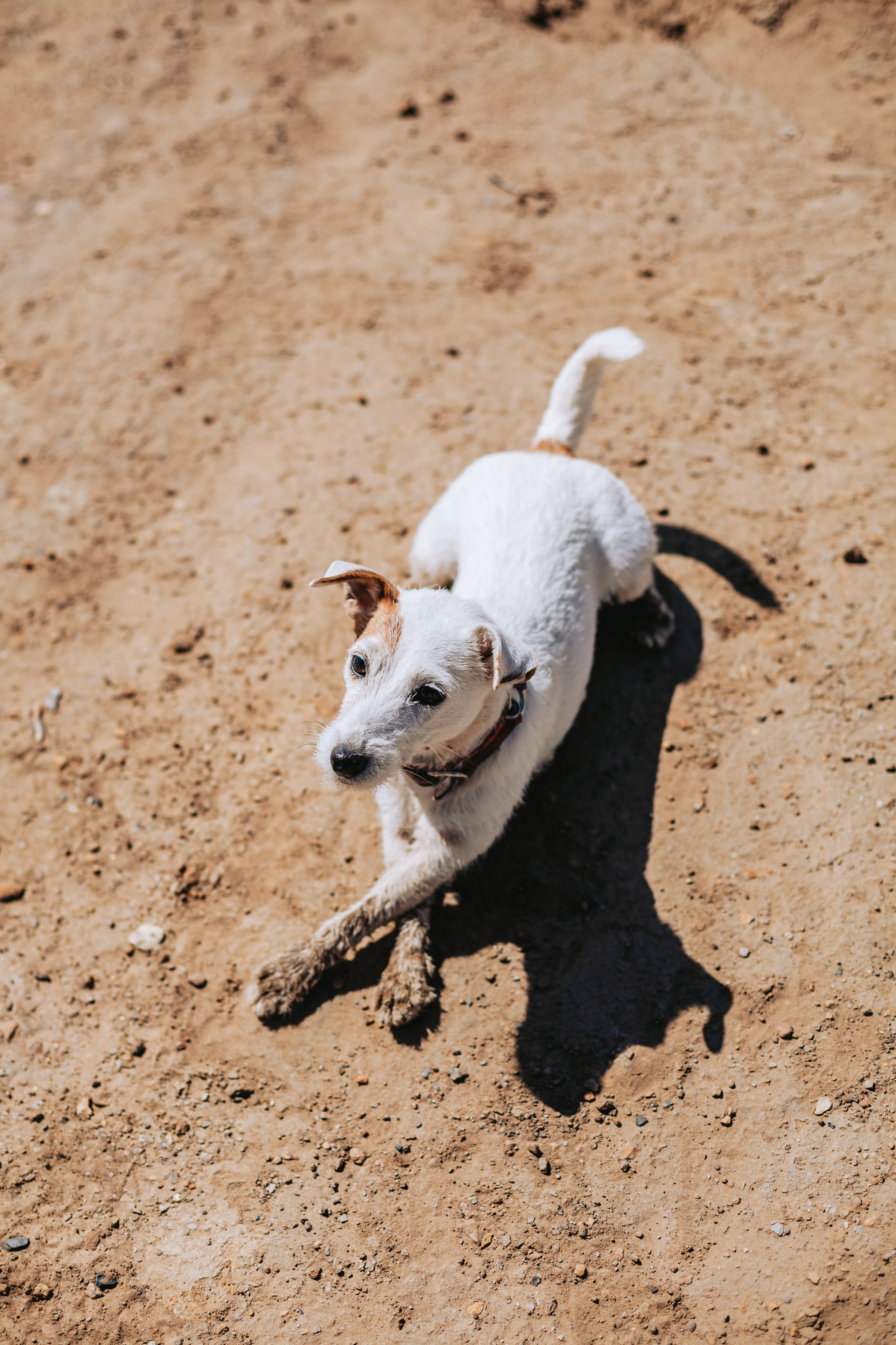Кондуки. Фотограф-анималист Татьяна Степанова