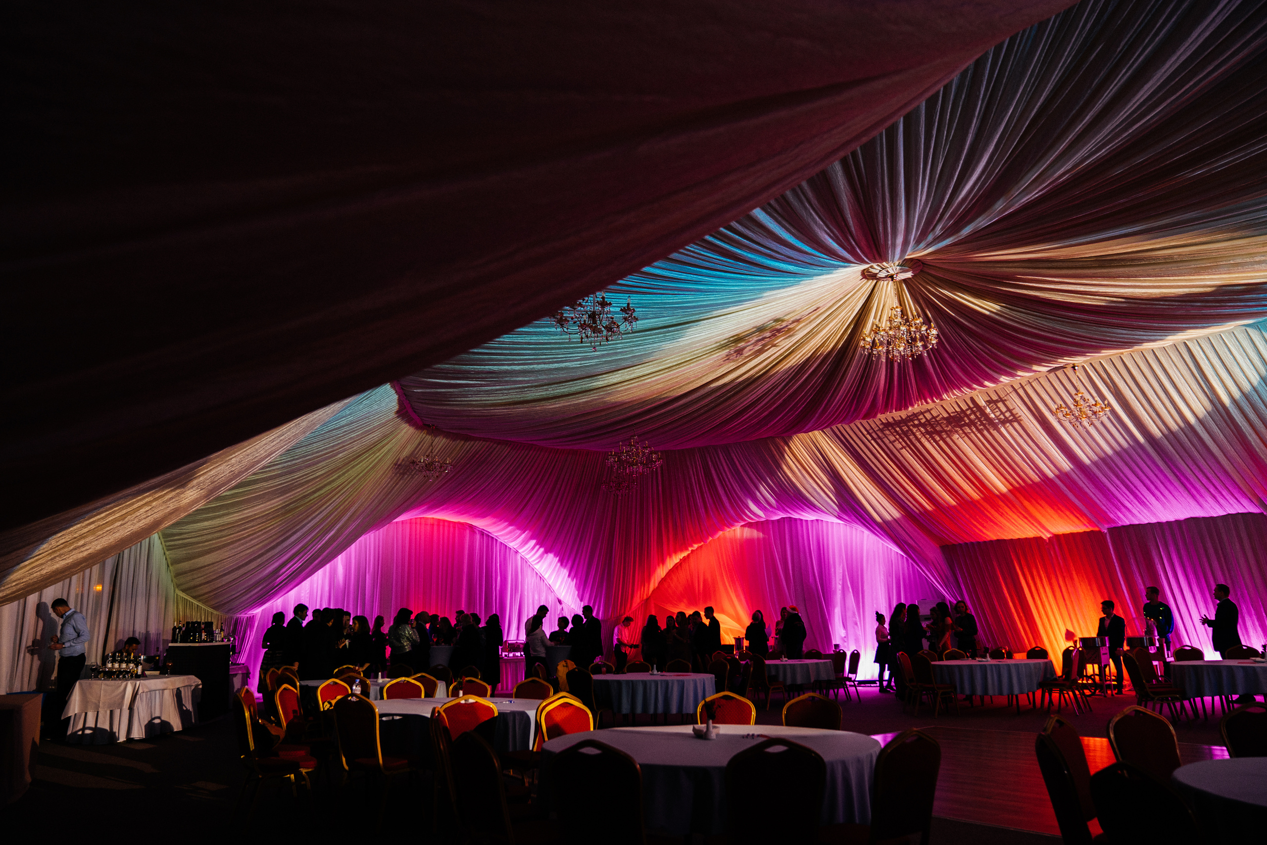 Корпоратив для кампании Beeline. Катя Завьялова