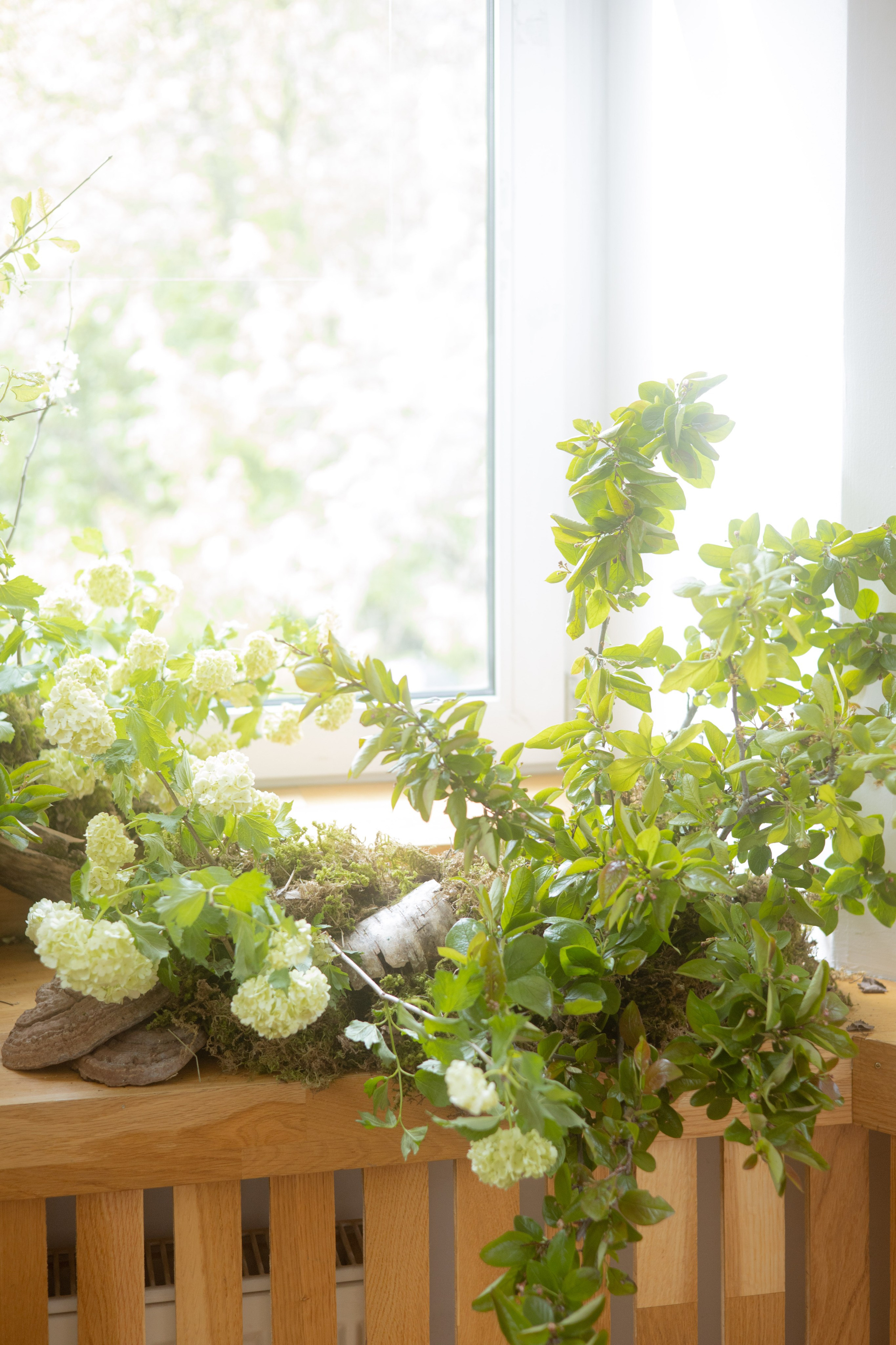 Утро Есении. Оформление свадеб, декор свадеб Вера Маркова, Москва