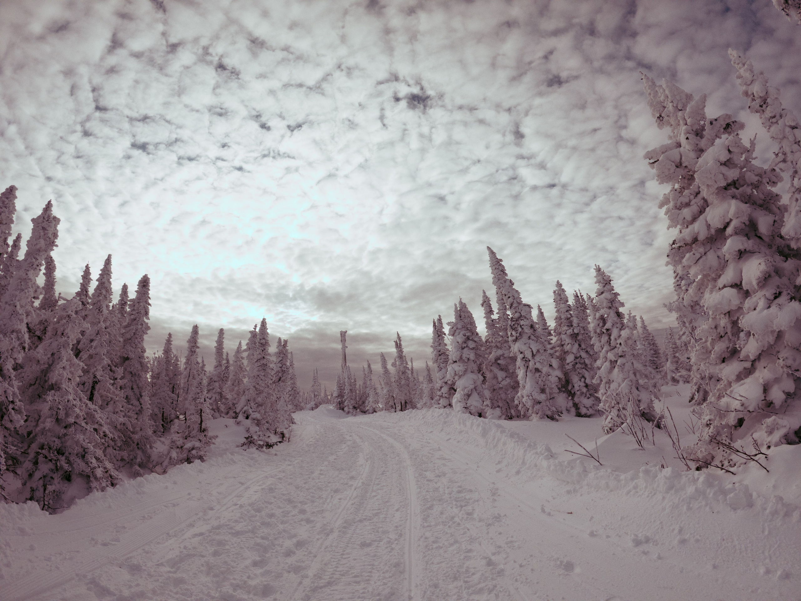 Sheregesh \ november 2024 \ GOPRO. Коммерческий Фотограф Виктор Фоменых