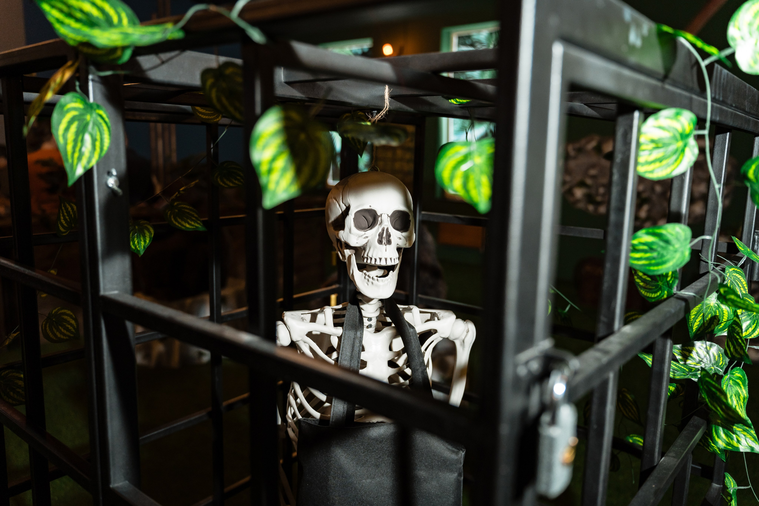 С Днем Рождения, Гена! Остров Discovery