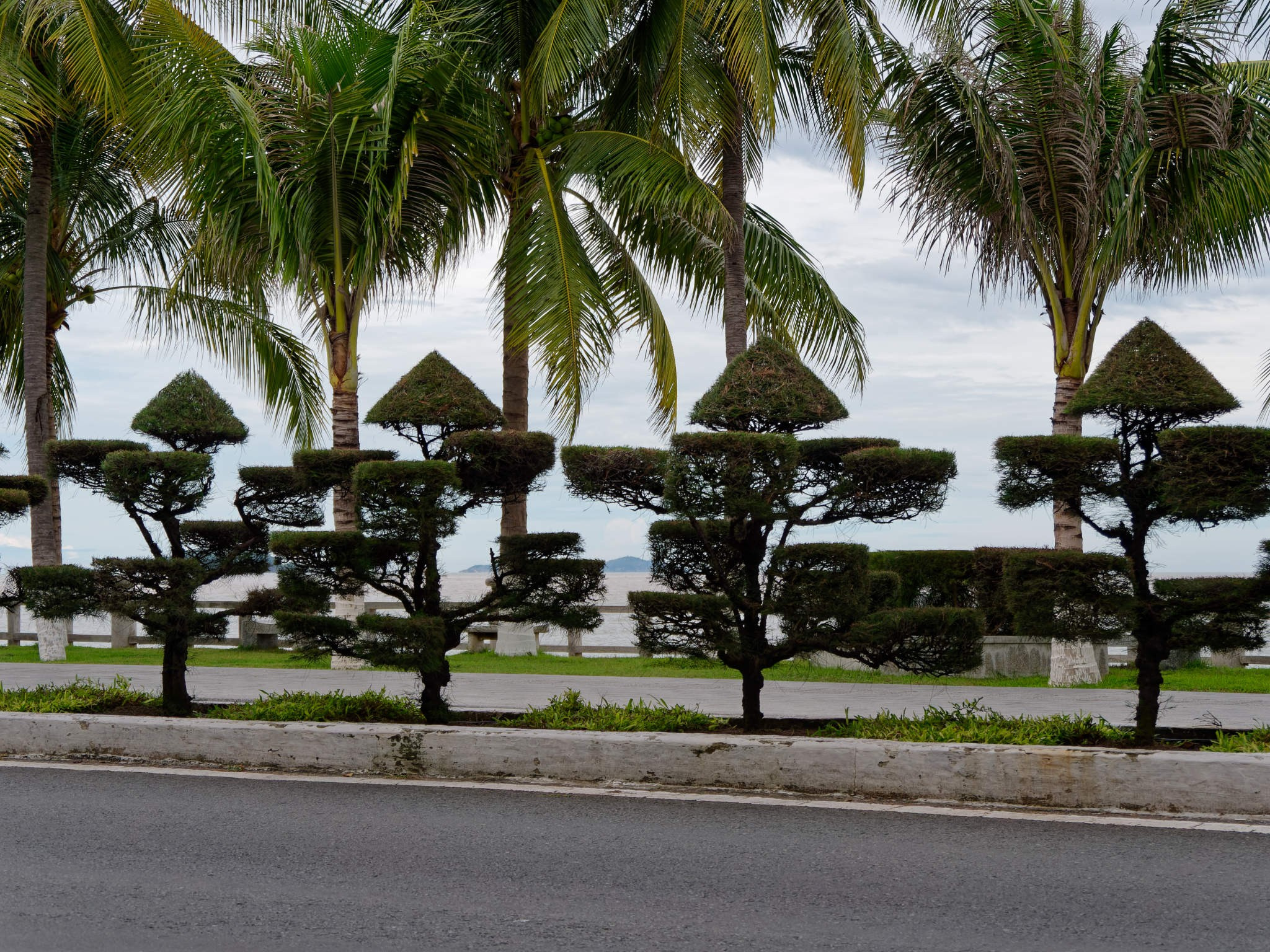 Нячанг 2023. Избранные фотографии