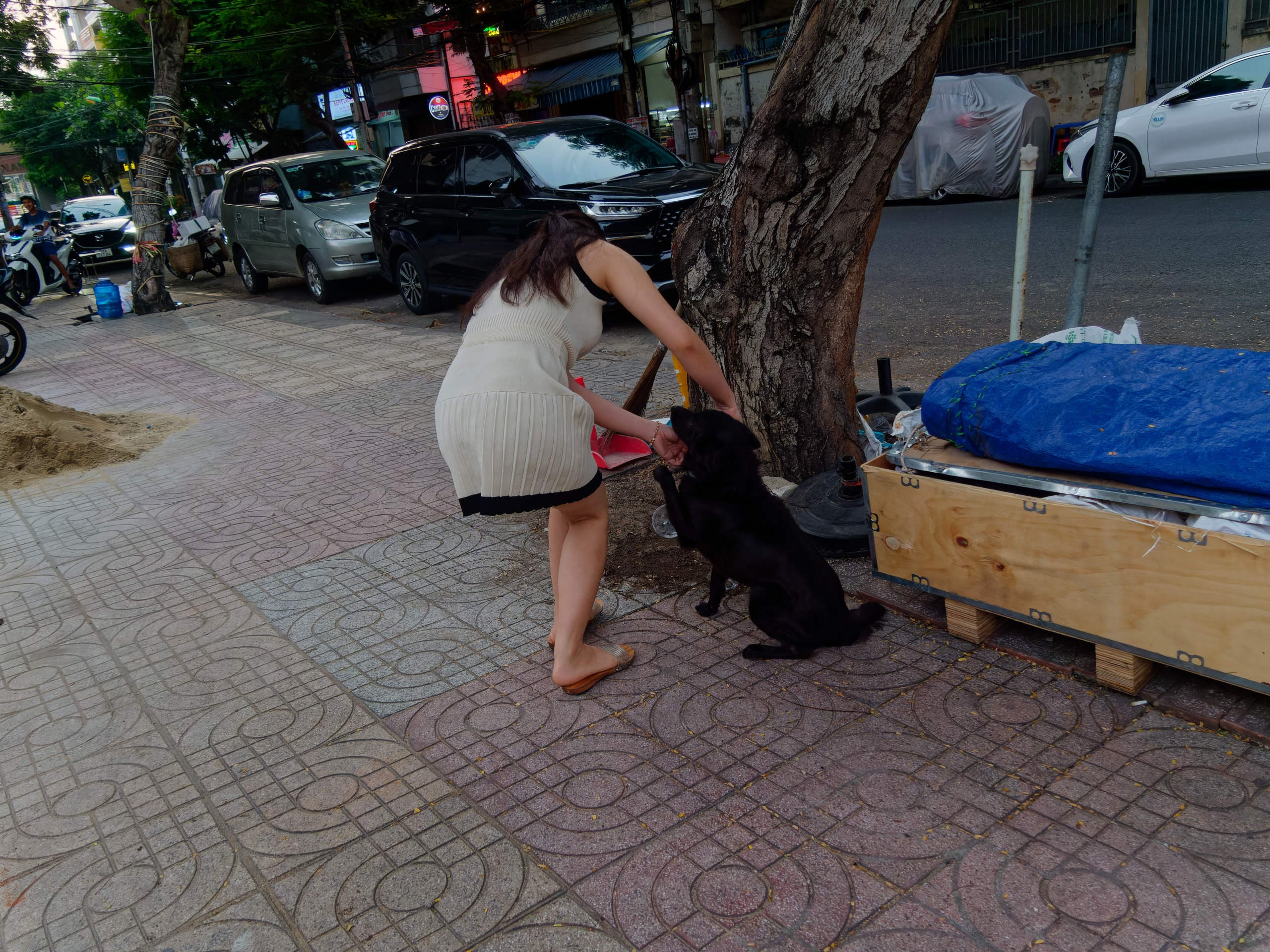 Нячанг 2025 (8). Избранные фотографии