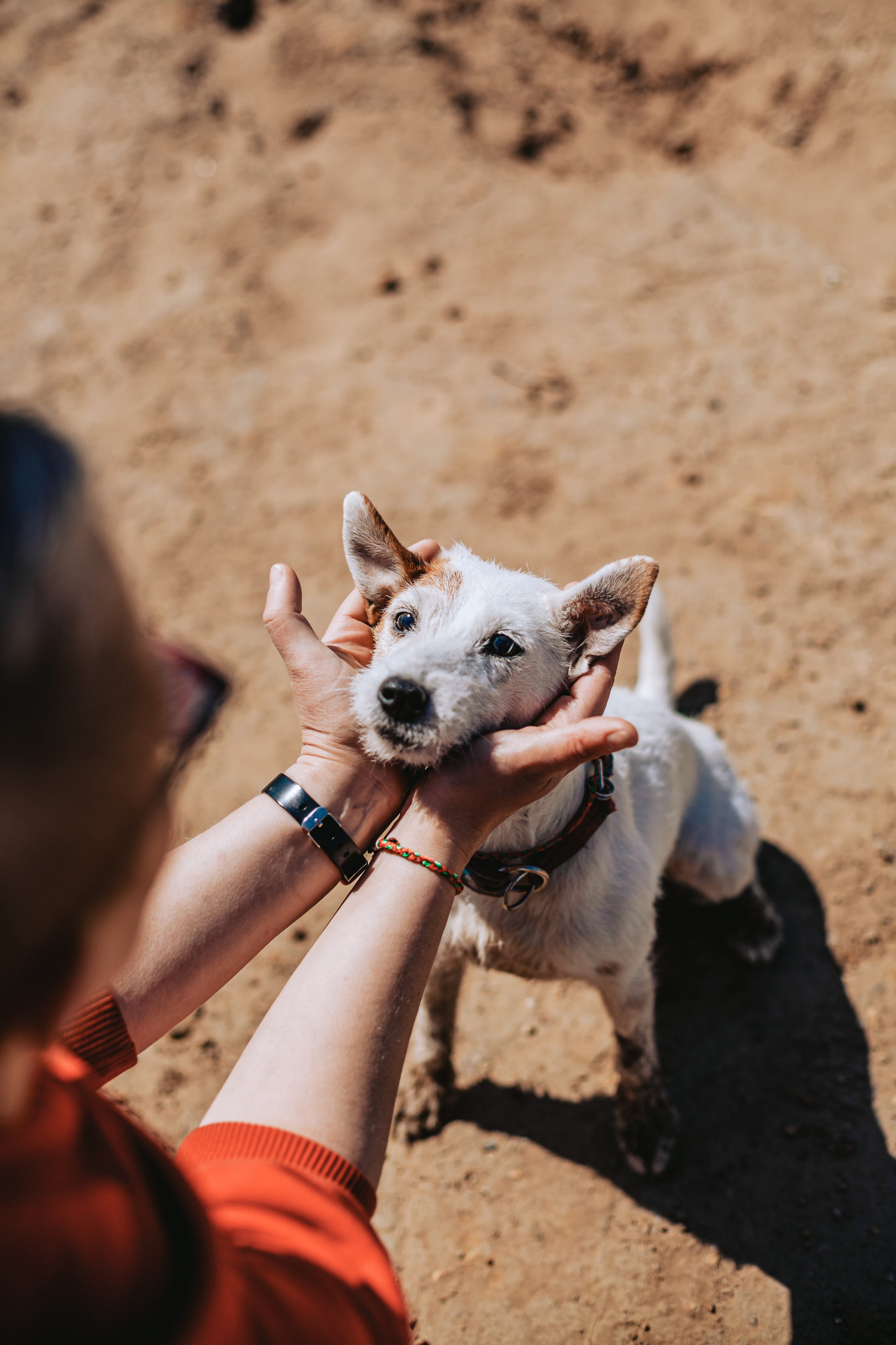 Кондуки. Фотограф-анималист Татьяна Степанова