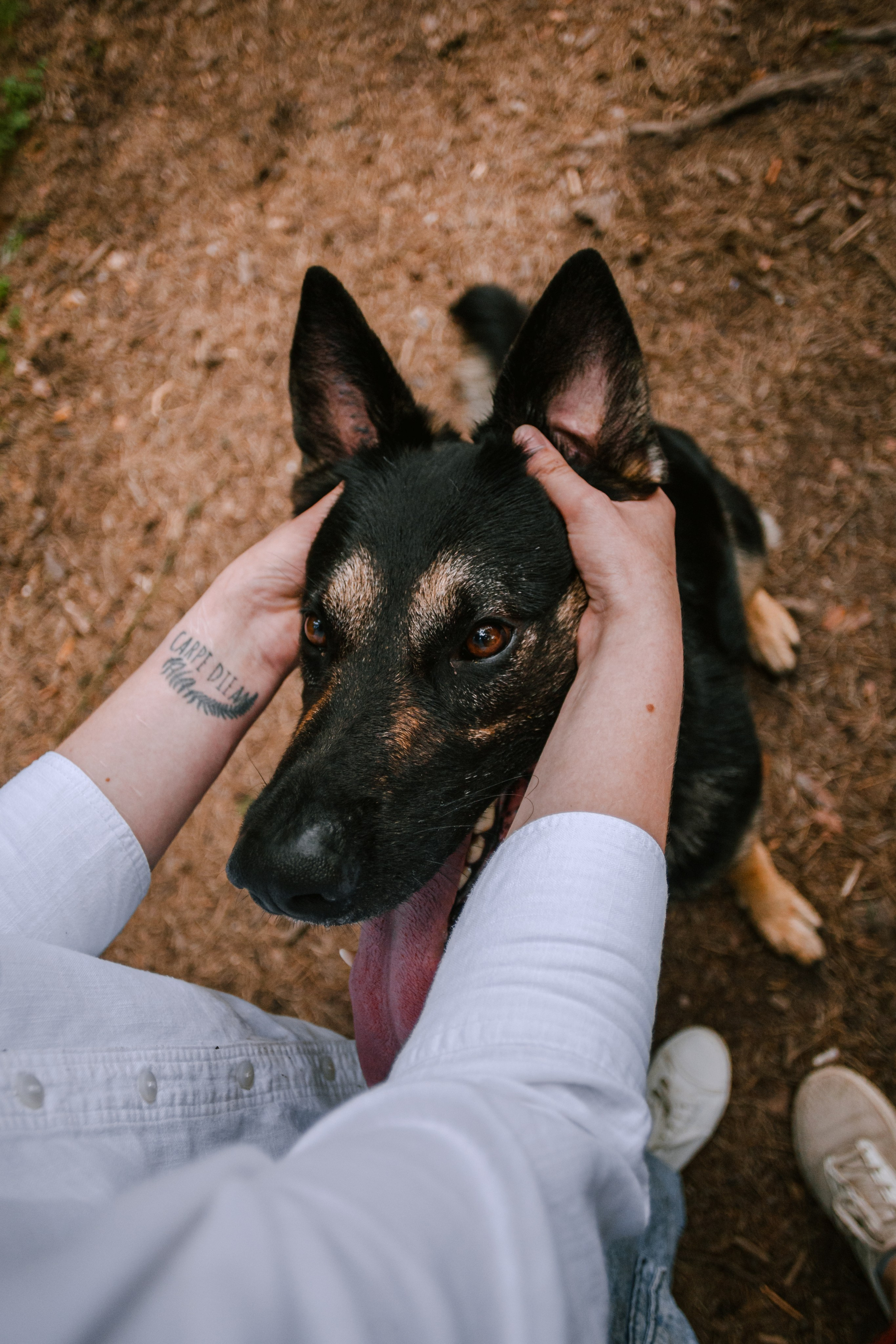 Лесная летняя фотопрогулка. Фотограф-анималист Татьяна Степанова