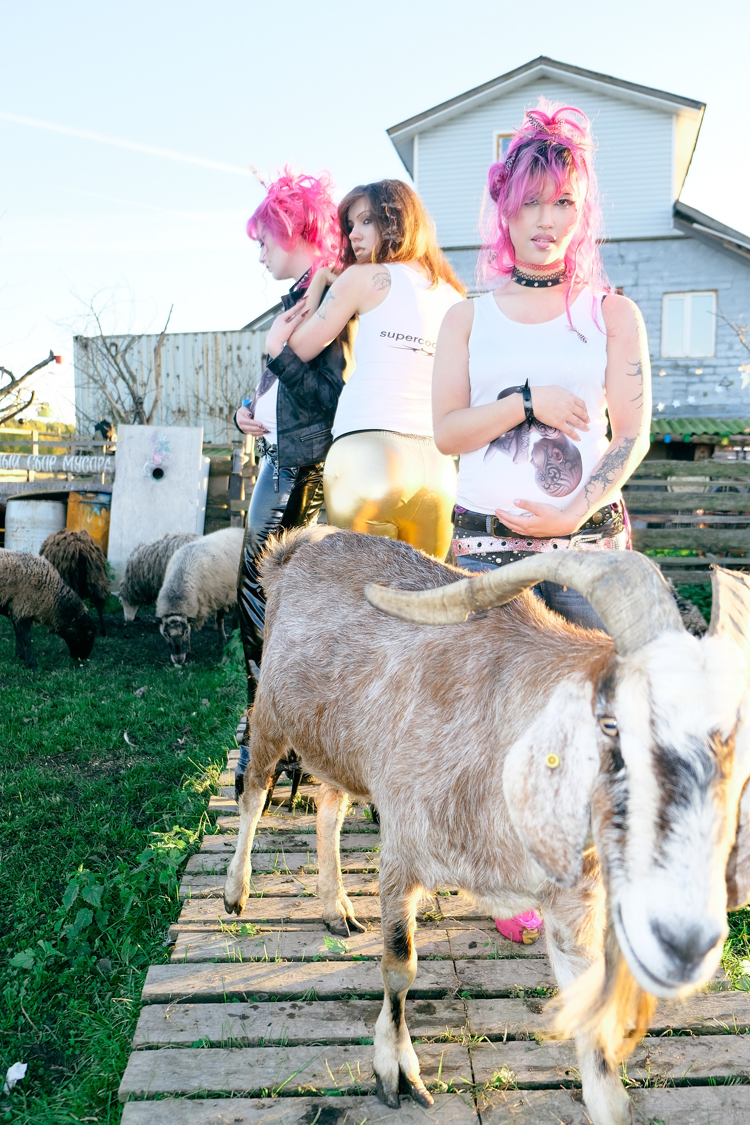 Freak farm. Софа Катастрофа, Одичание. фотохудожница, креативный продюсер, автор. Nude, eros, портретный фотограф