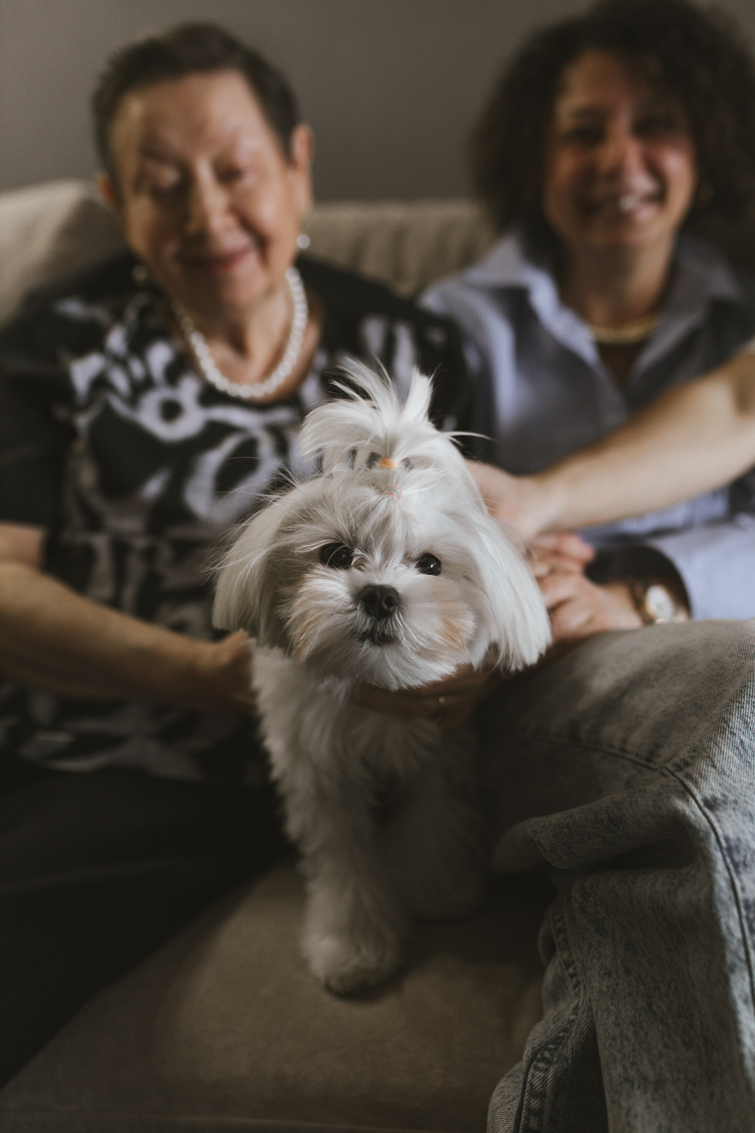 Юбилей! Домашняя фотосессия. Свадебный и женский фотограф в Санкт-Петербурге Муртеева Екатерина