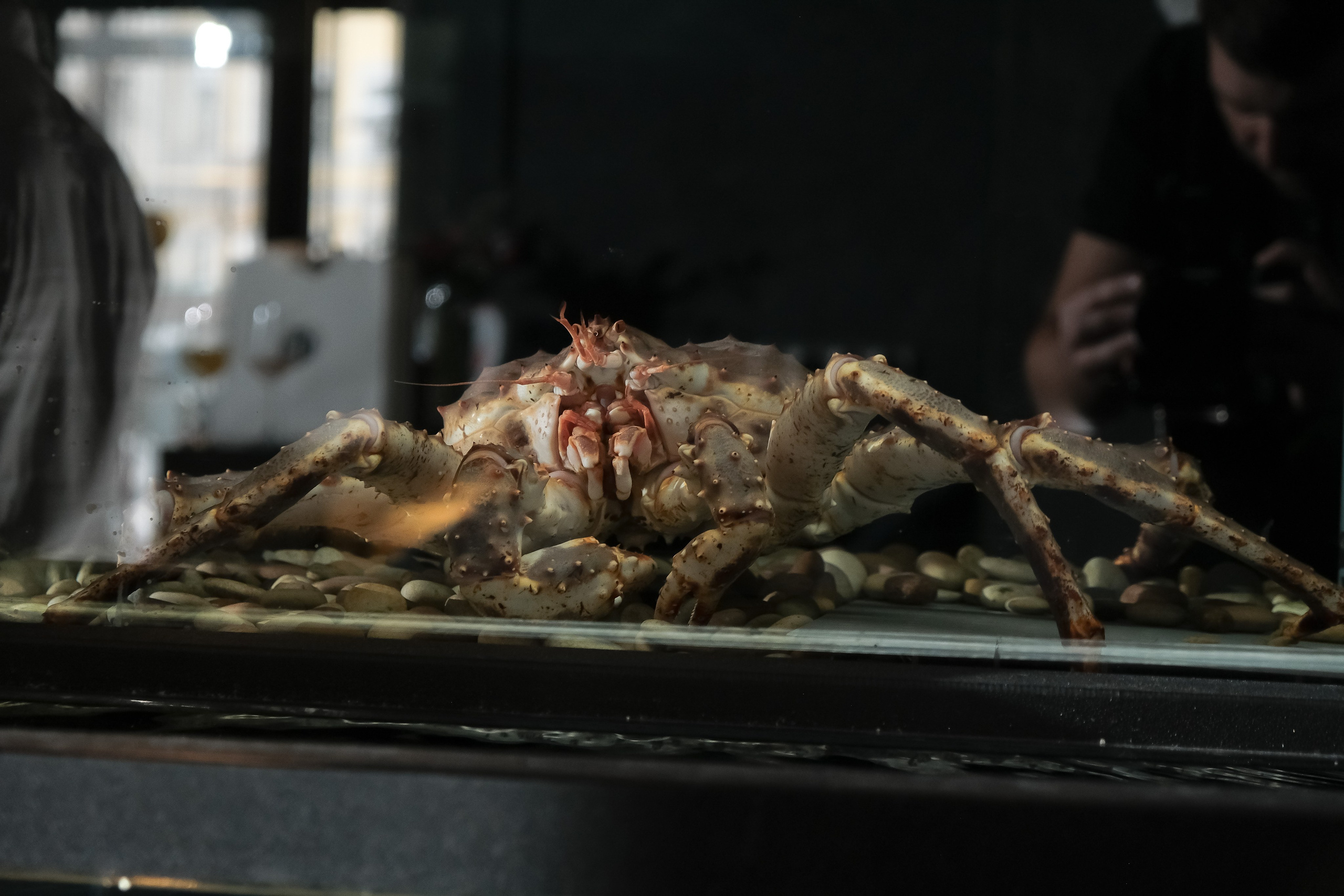 Birthday 30. Свадебный и корпоративный фотограф в Москве Андрей Рудой