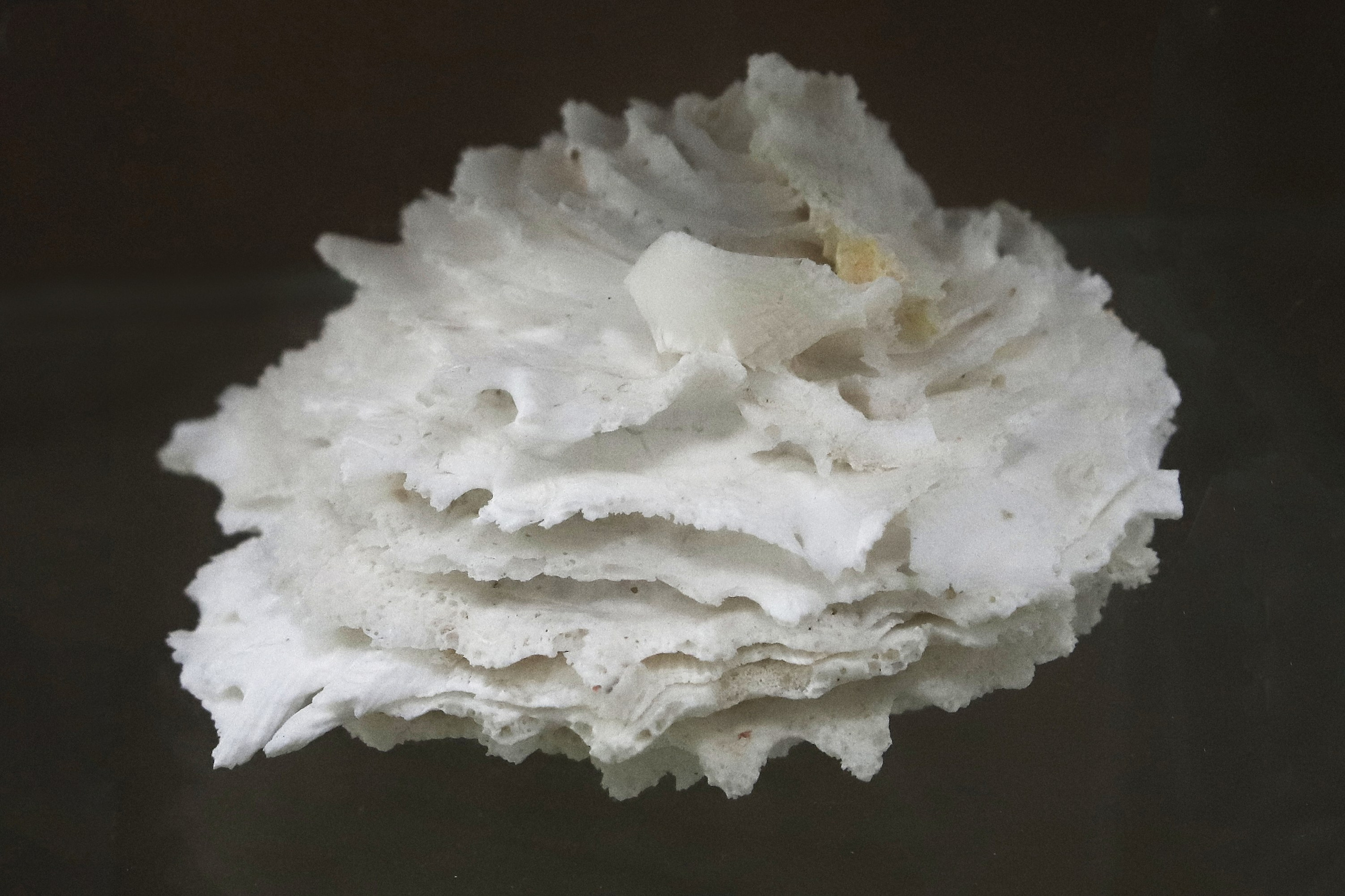 Морской калейдоскоп. Фотограф Юлия Маринина