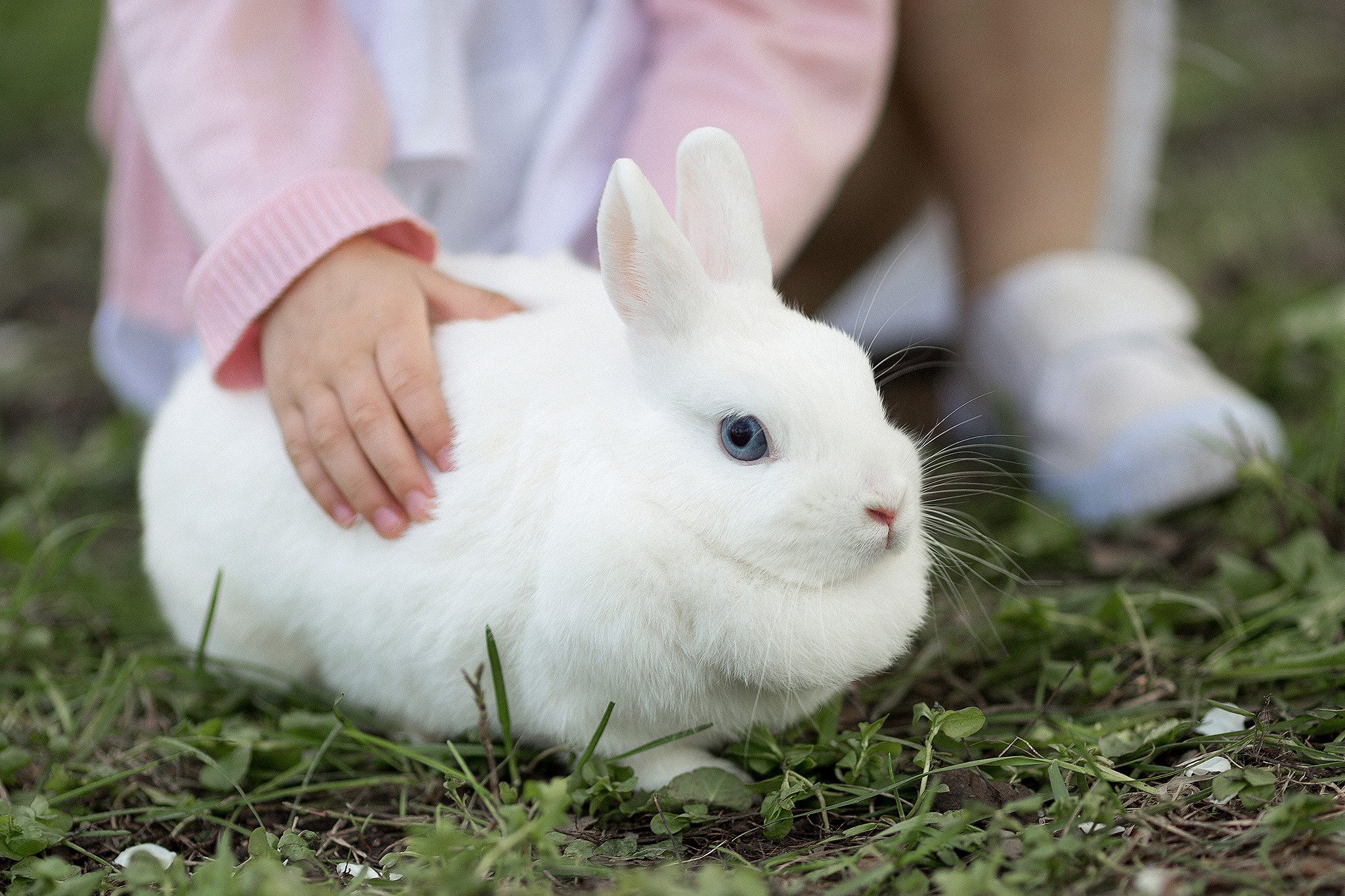Алёна и Аня в яблоневом саду. Семейный фотограф в Москве Марина Петра