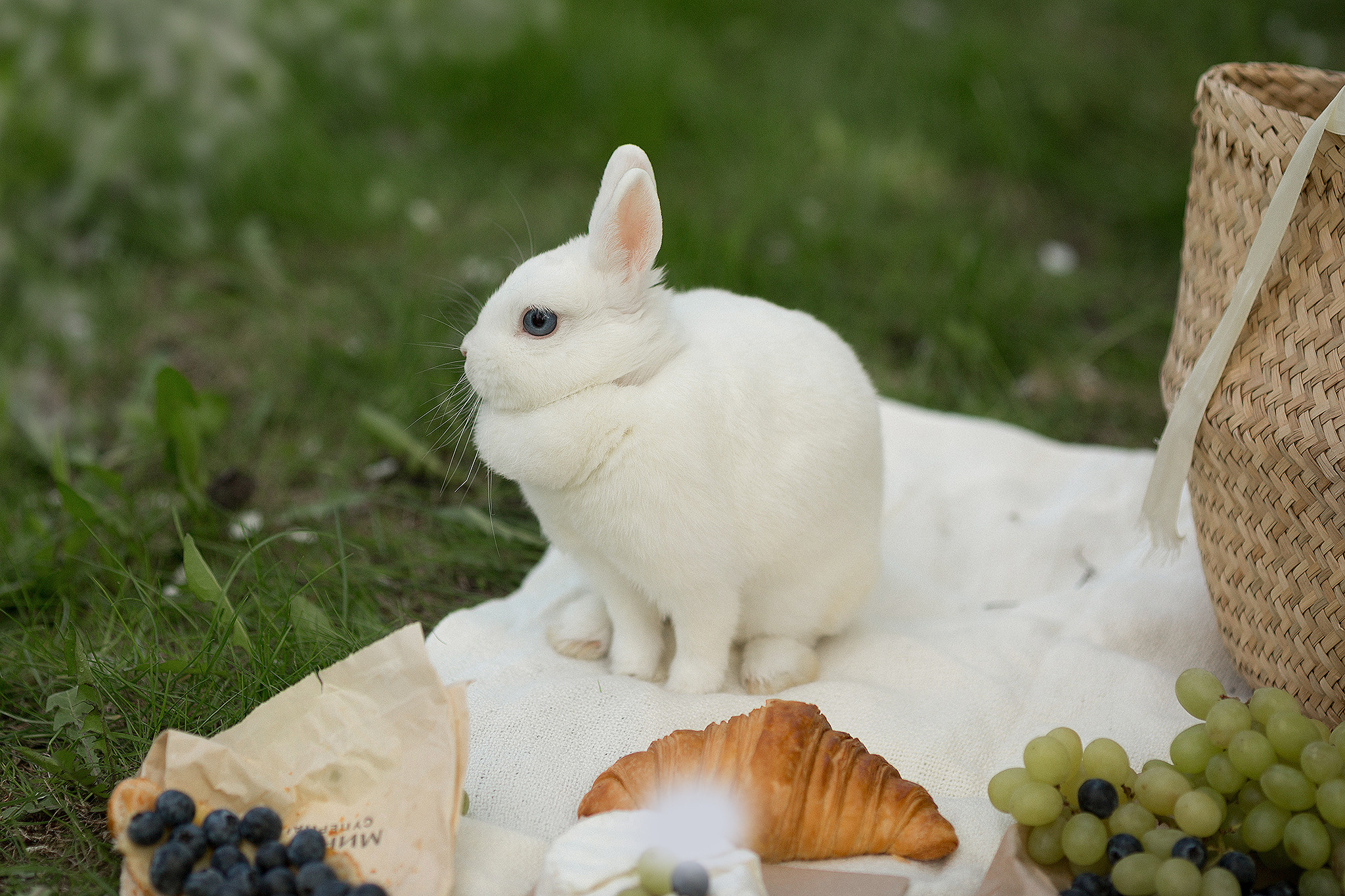 Алёна и Аня в яблоневом саду. Семейный фотограф в Москве Марина Петра
