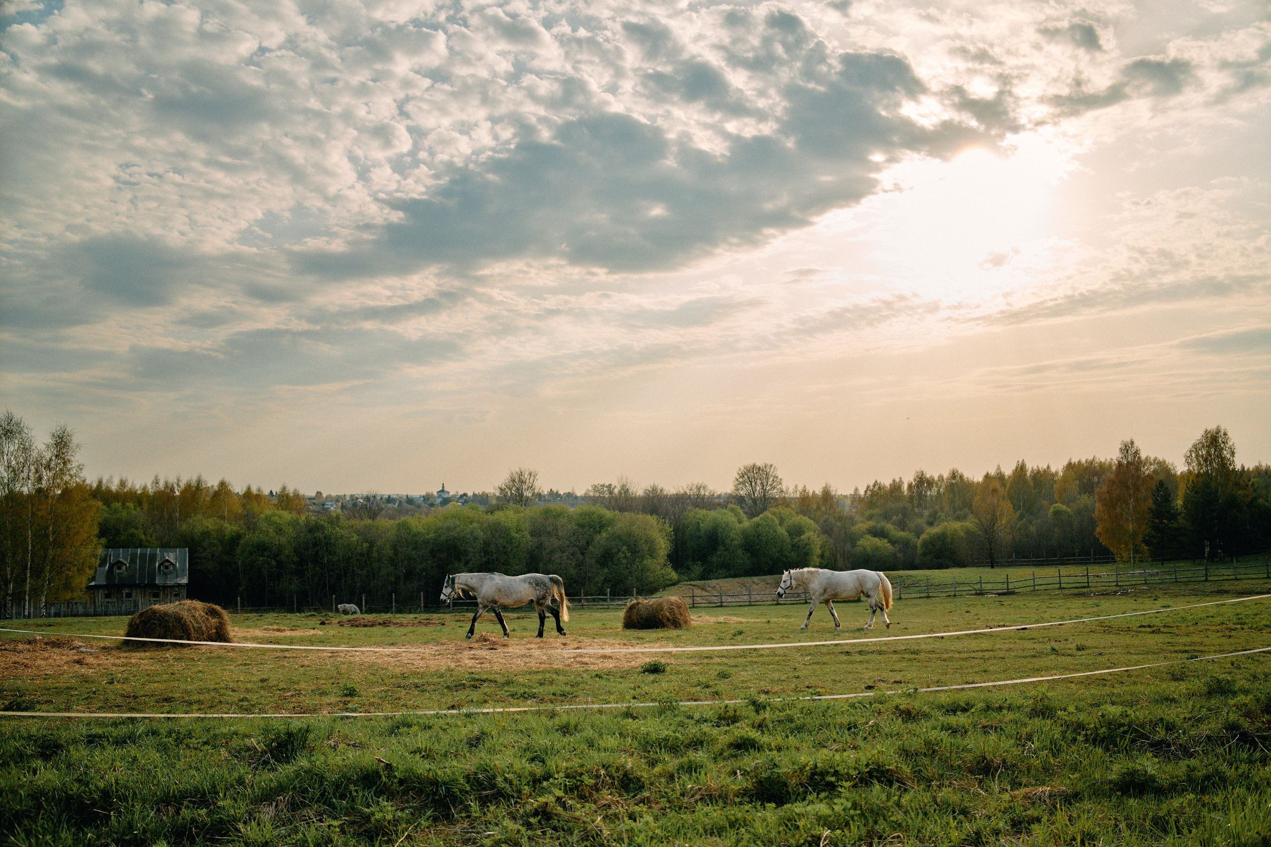 Бутик-отель Поле летом. Профессиональный Фотограф во Владимире, в Москве и в Суздале — Полина Романычева
