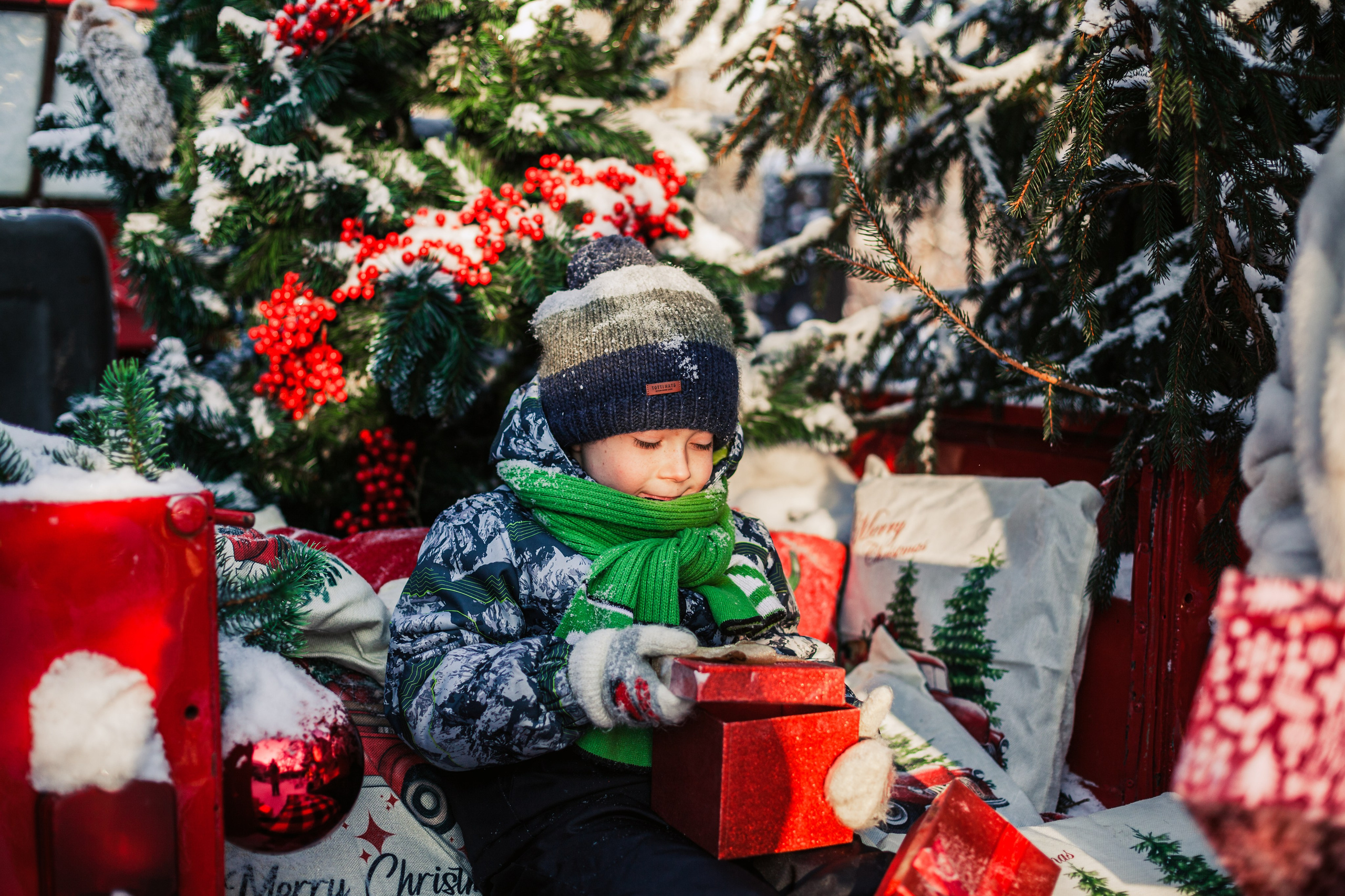 Зингер дача. Фотограф-анималист Татьяна Степанова