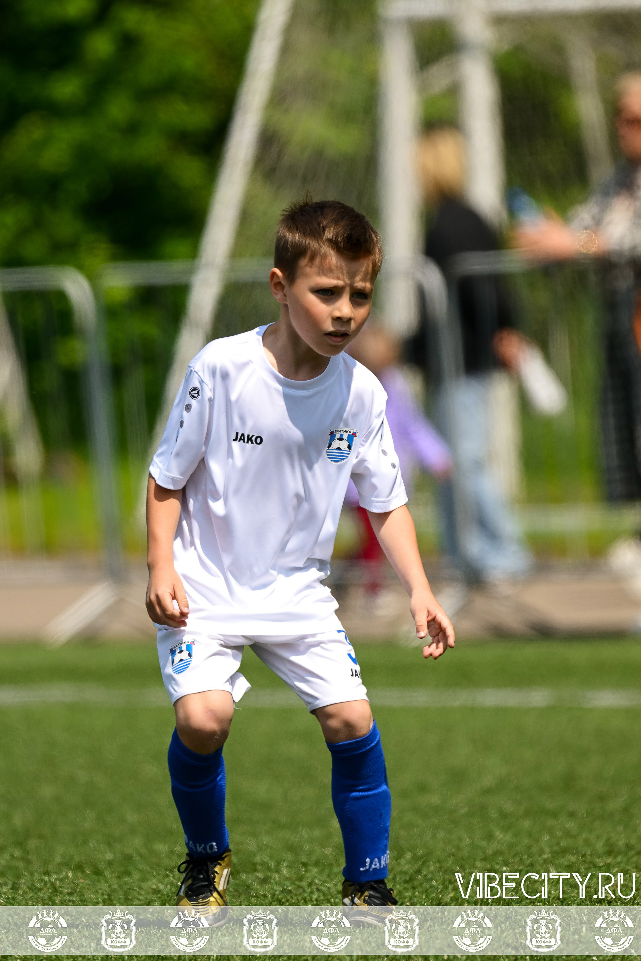 Большие Звезды светят Малым. VIBECITY.RU Вайб Сити Ру Фоторепортажи Фотоотчеты Калининград