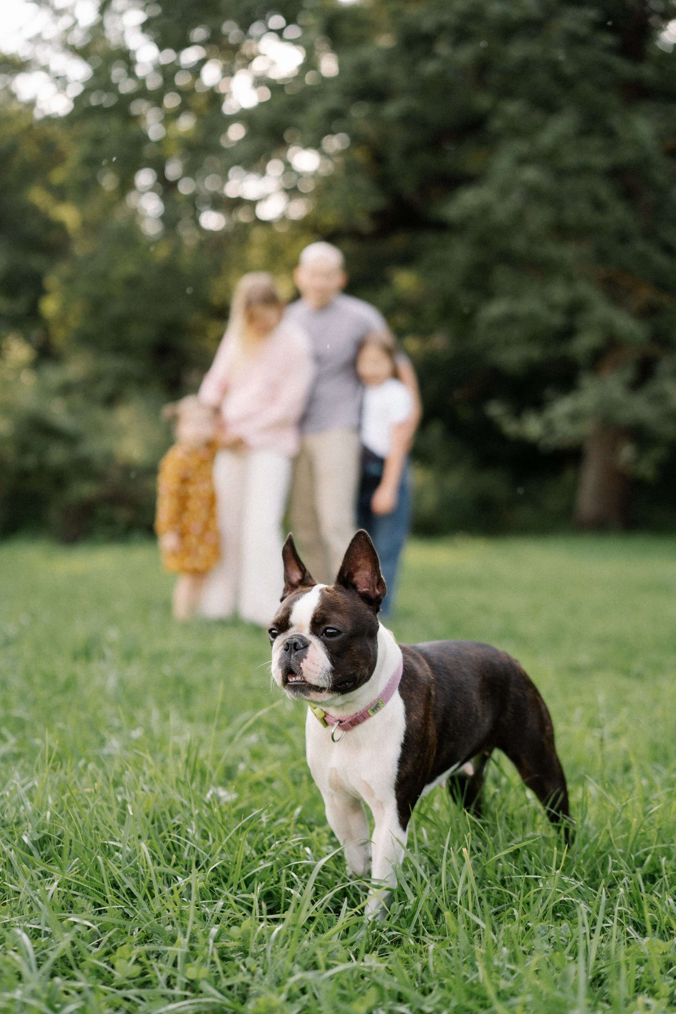Семейные. Надя Инкина фотограф Москва