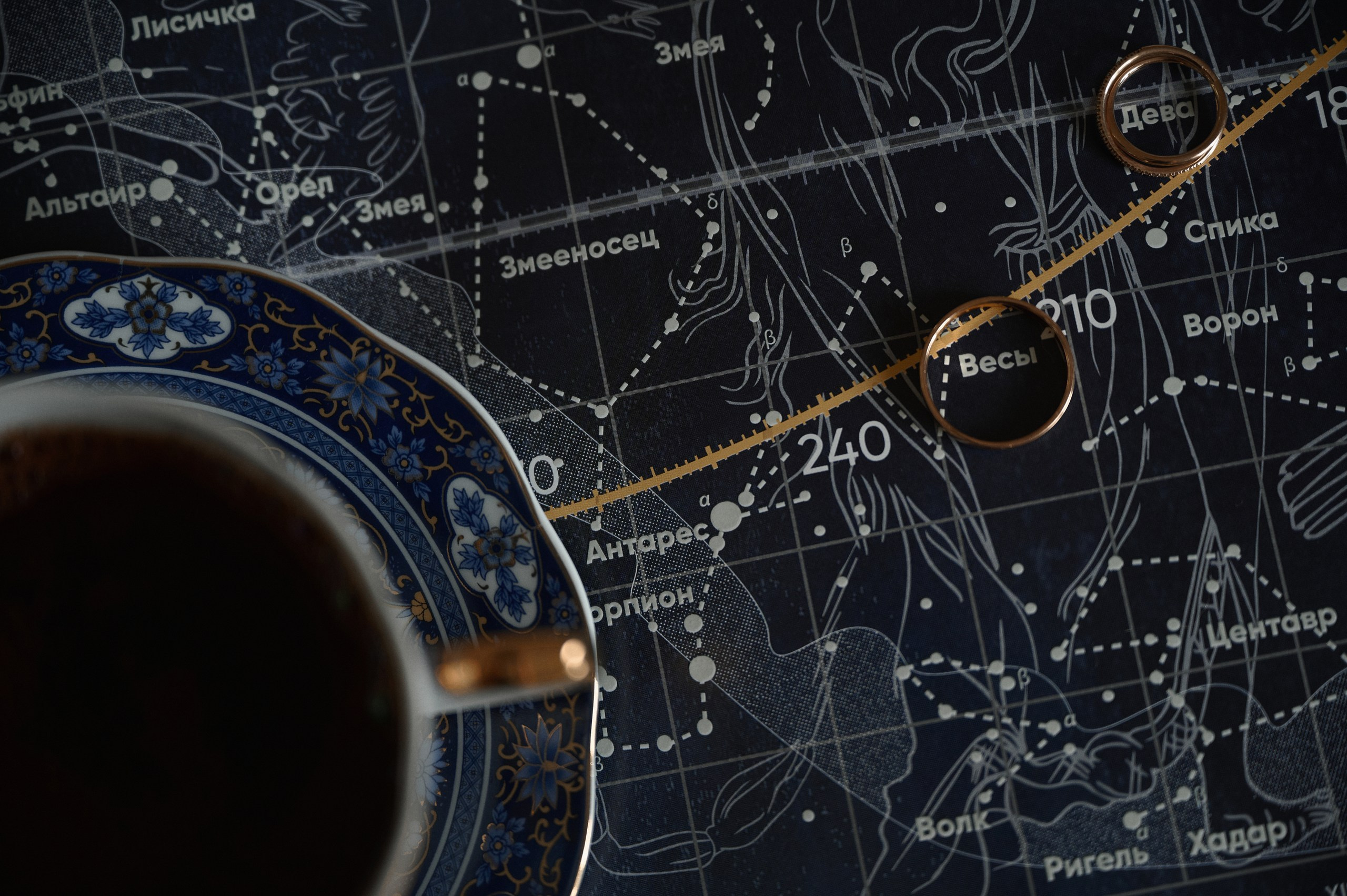 Свадебный фотограф в Брянске - фотограф на свадьбу. Свадебный и портретный фотограф в Брянске Скепская Лилия