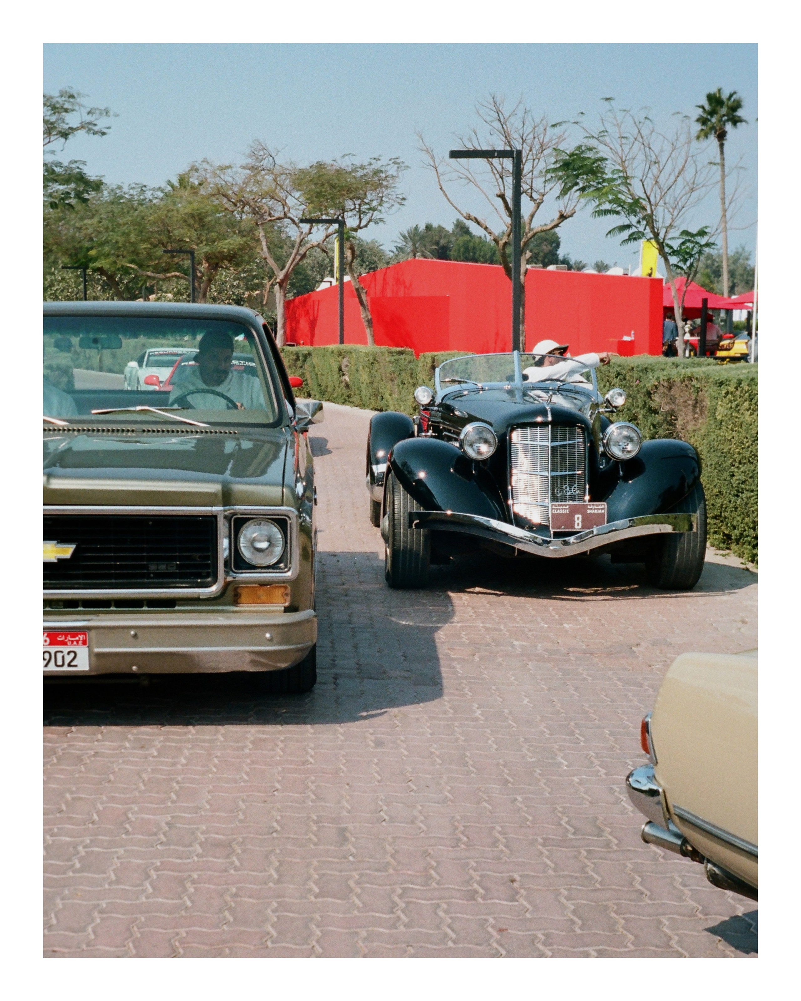 The Grand Picnic (35мм). Katyavasileva