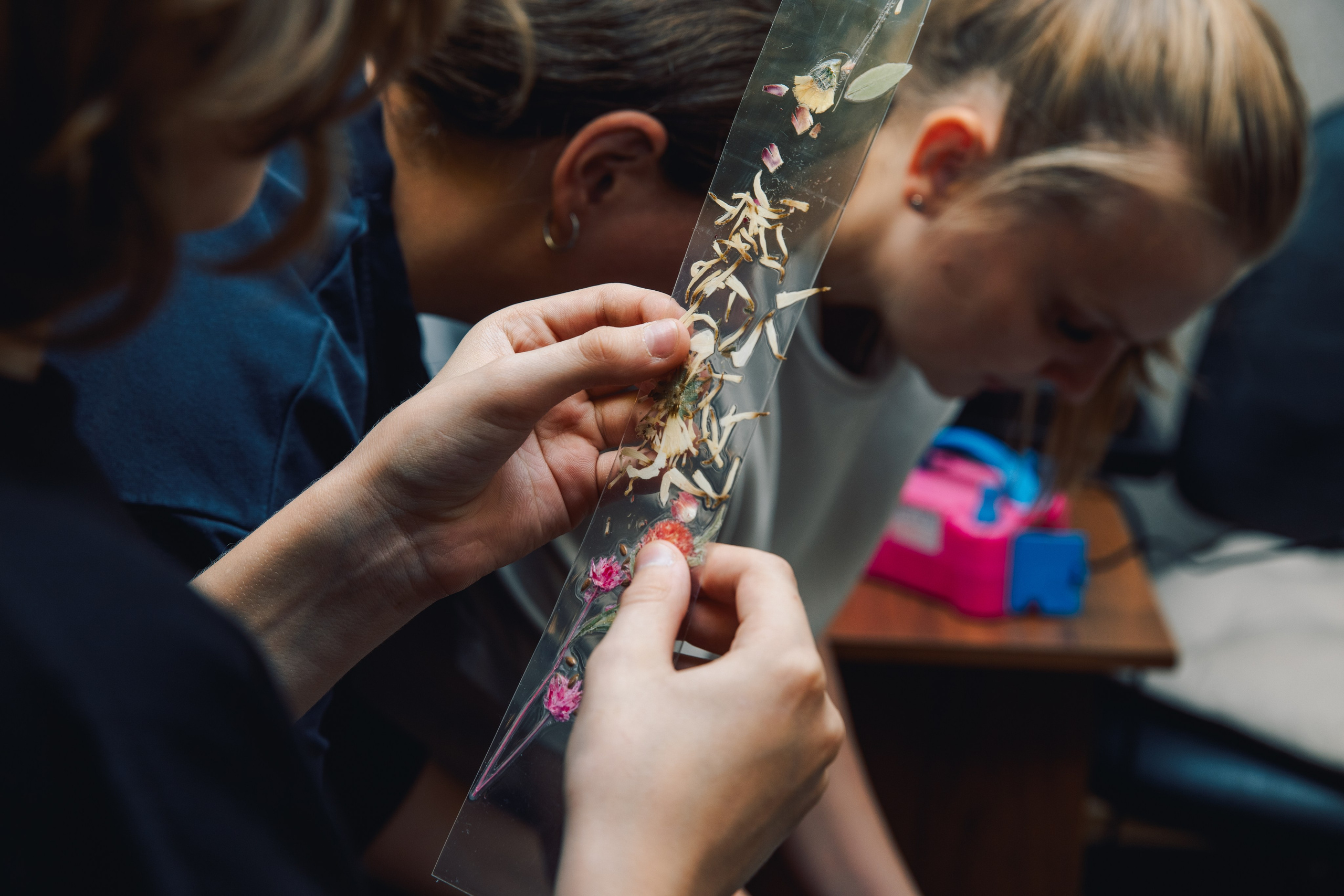 03.09.2025 Открытие АНО Возможно. Фотограф в Санкт-Петербурге Алена Сертакова