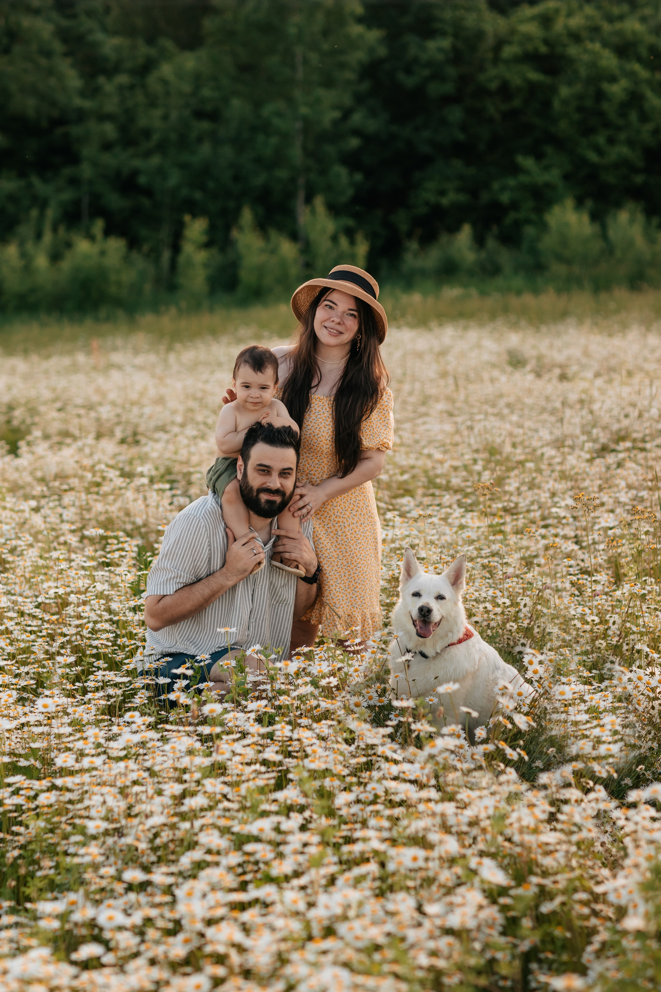 Семейство Тимченко в ромашковом поле. Семейный фотограф анималист Мария Крючкова