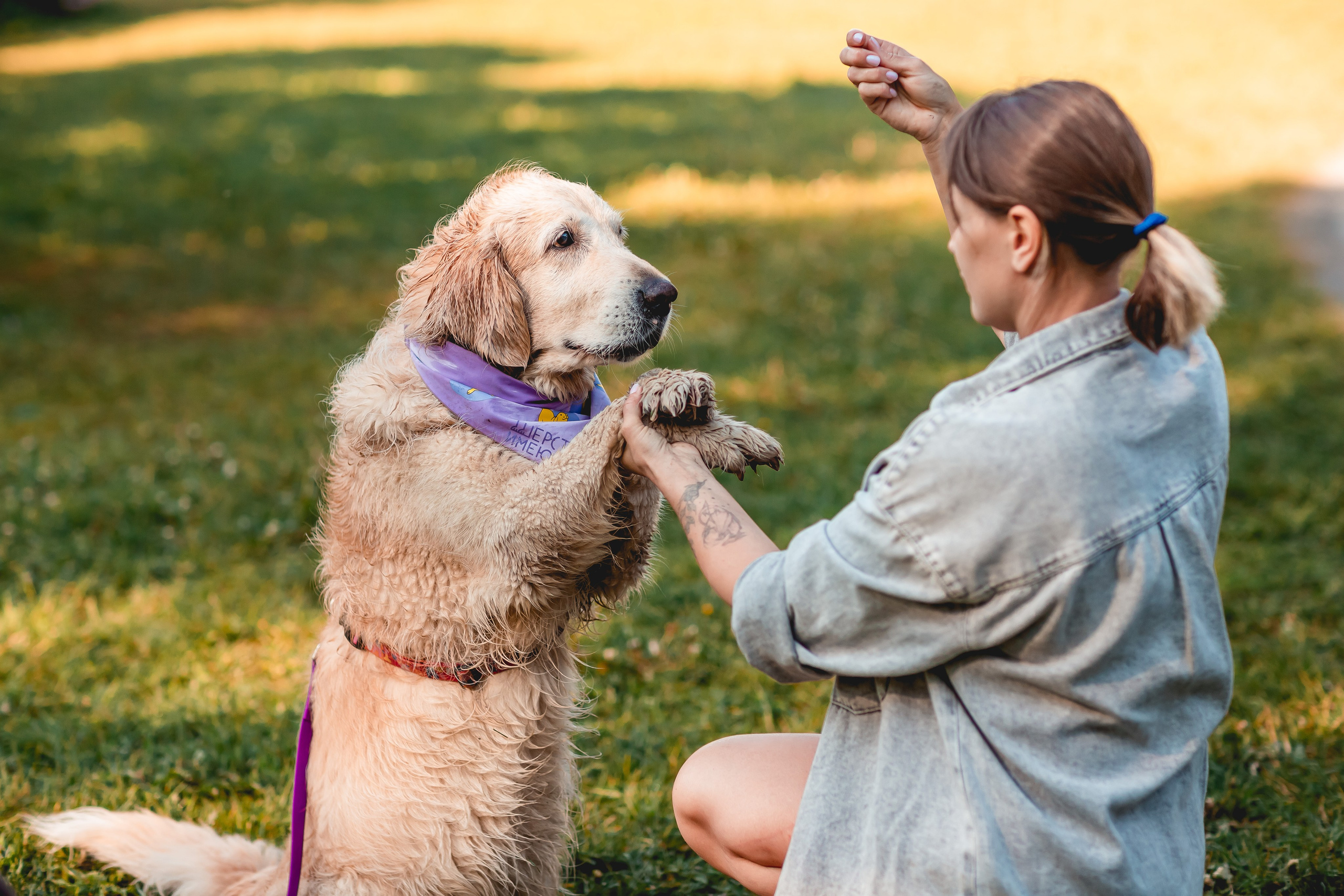 Ира, Альма и Белла. Семейный фотограф анималист Мария Крючкова
