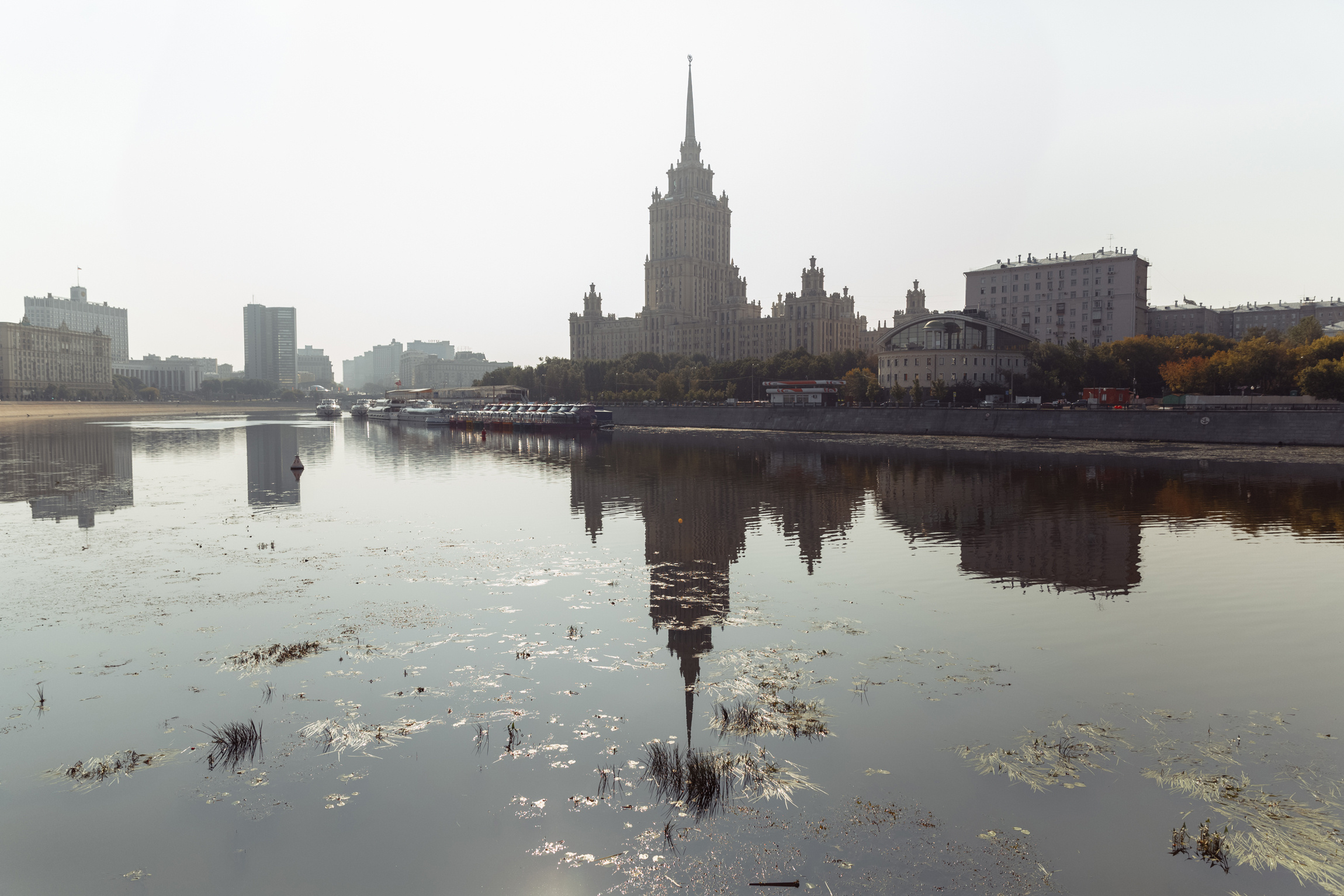 Сергей и Анастасия