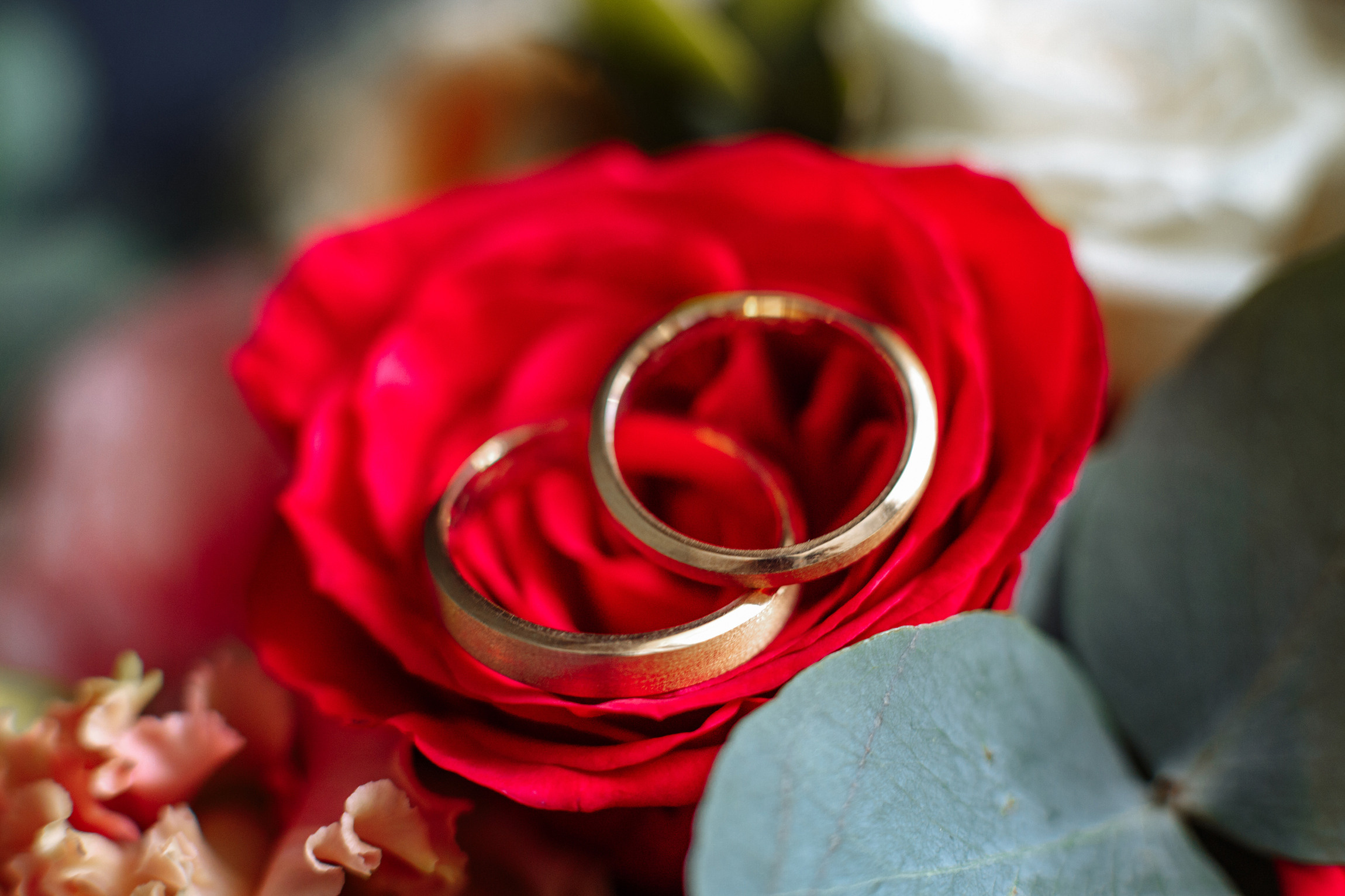 Фотограф Анна Руданова. Свадьба Даши и Юры. Осенняя свадьба