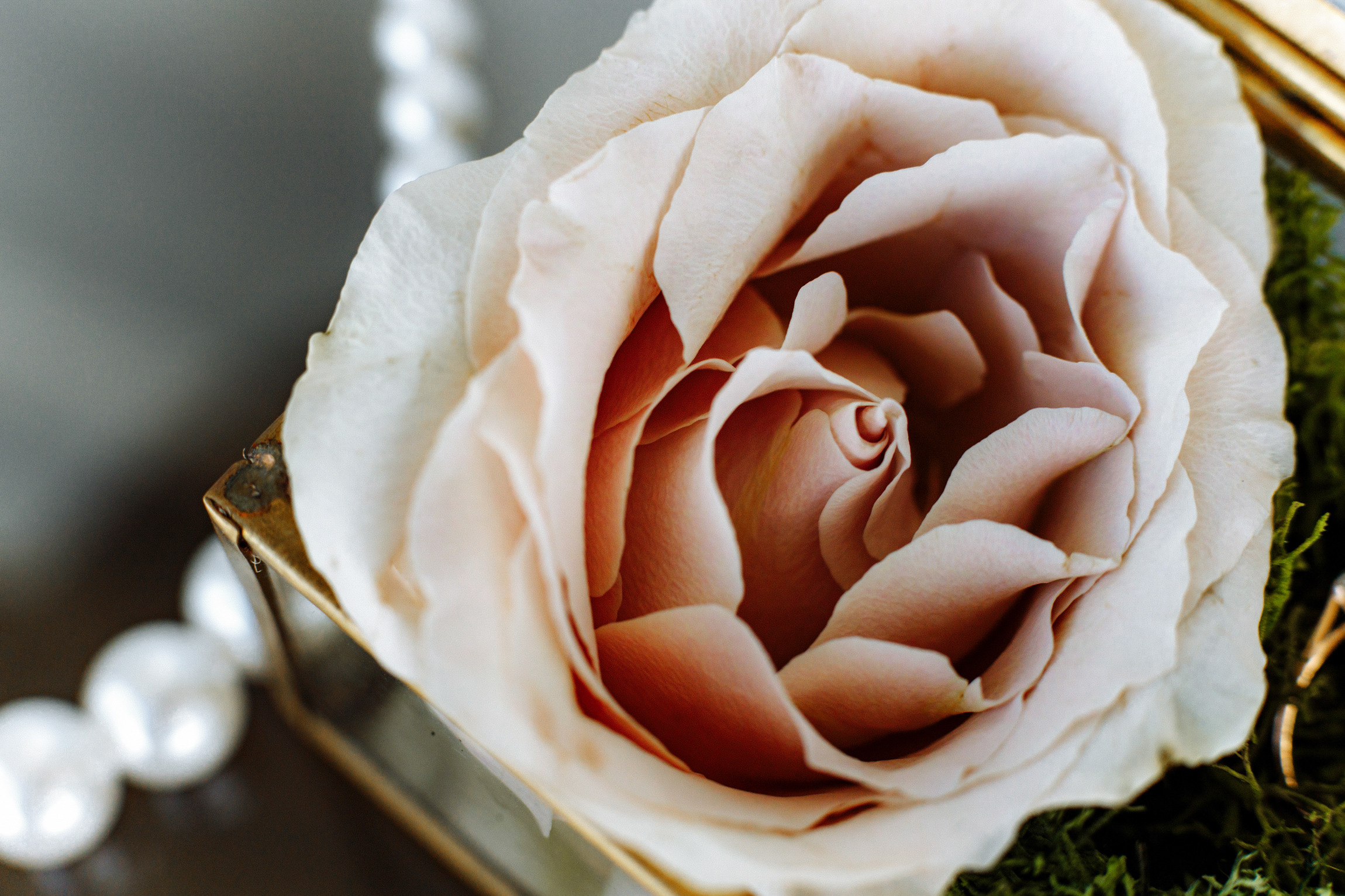 Оксана и Дима