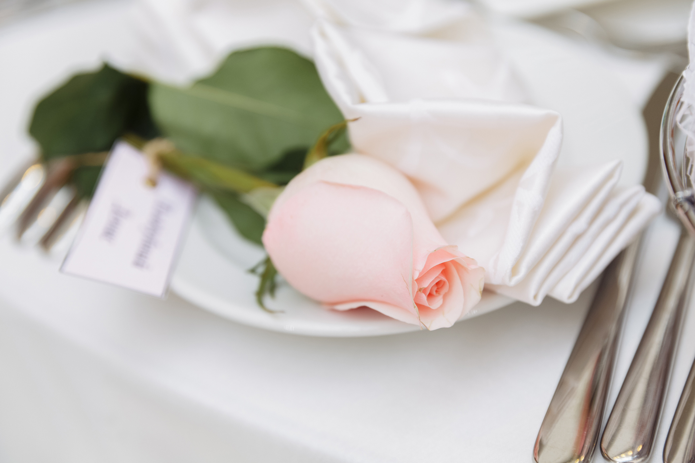 Сергей и Анастасия