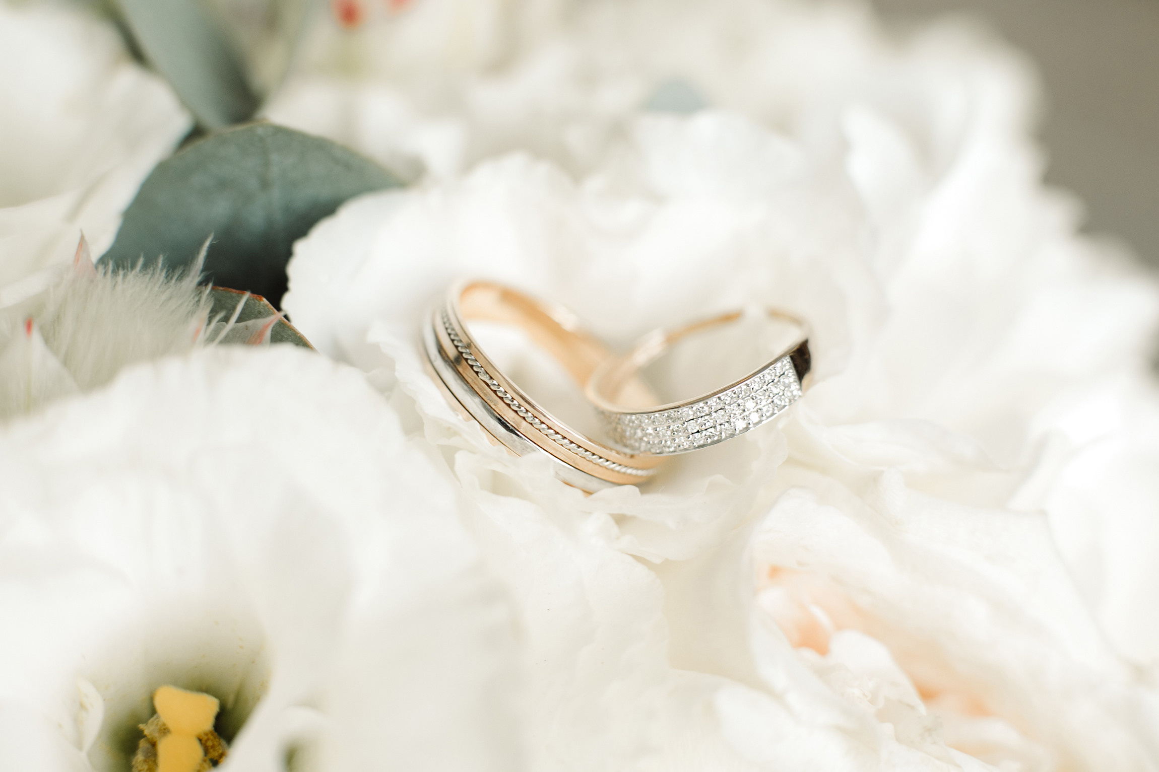 Дмитрий и Татьяна — красота во всем