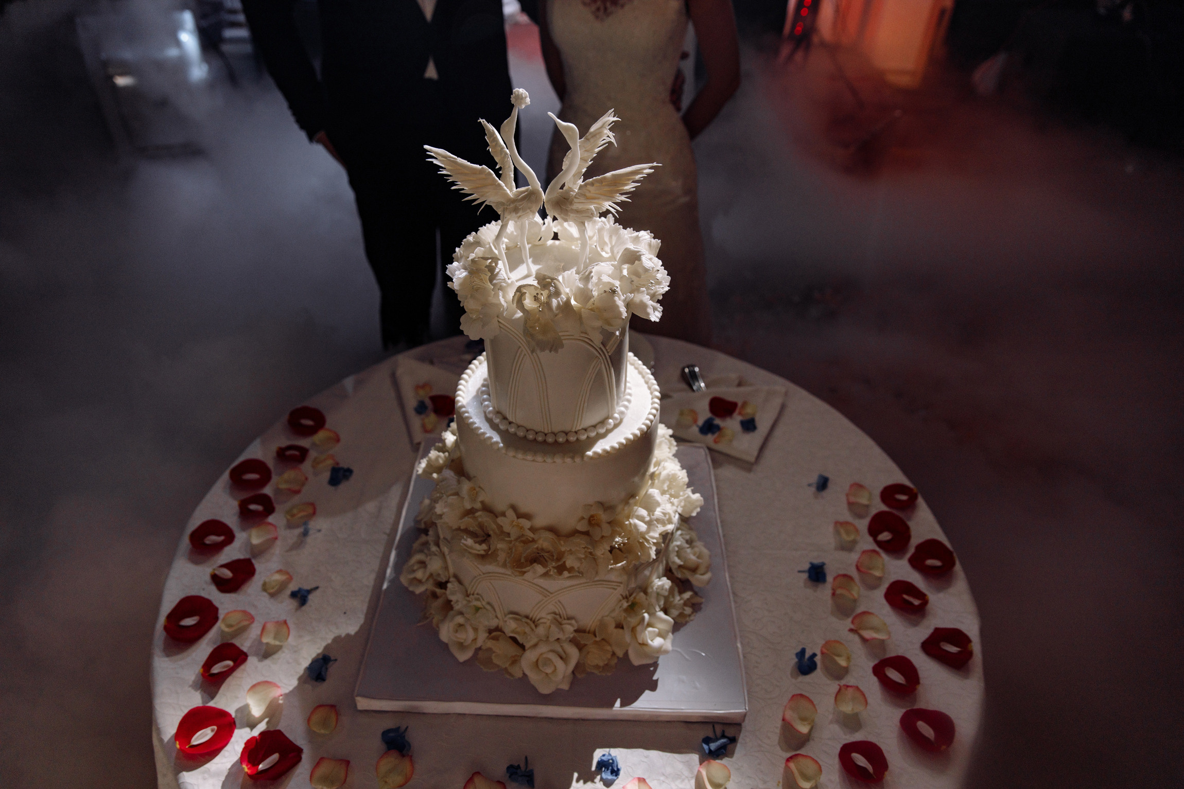 Дмитрий и Татьяна — красота во всем