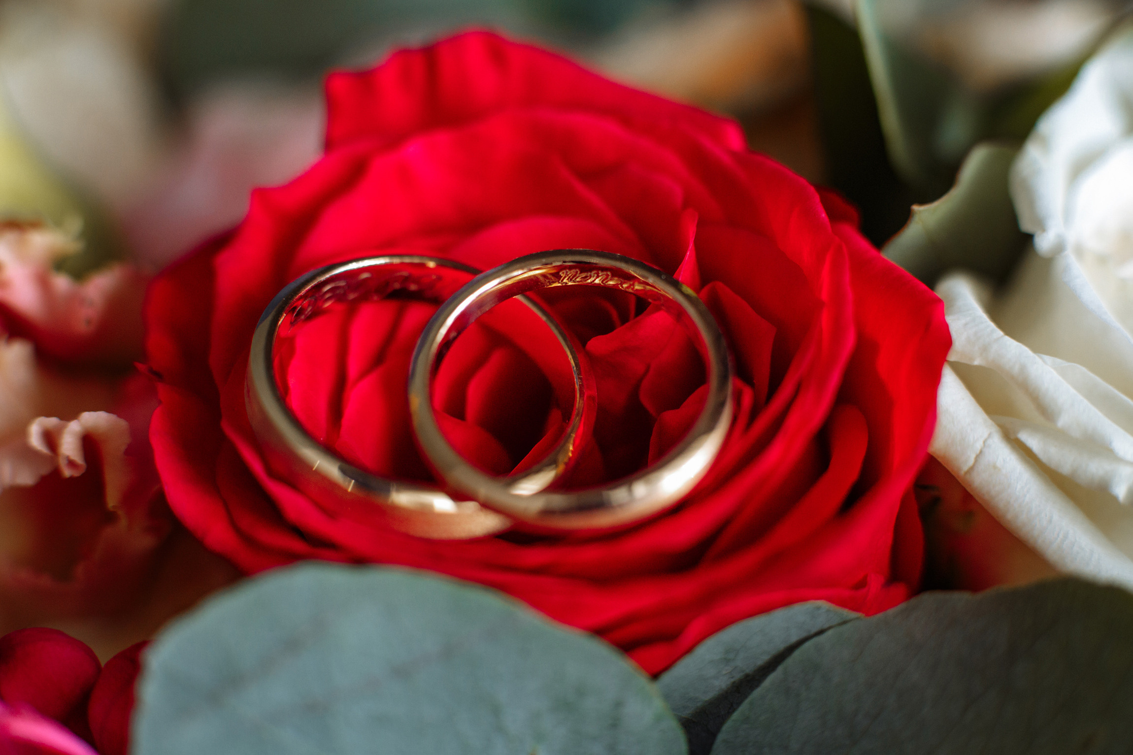 Розовые туфли, зеленый костюм — яркая свадьба Юры и Даши