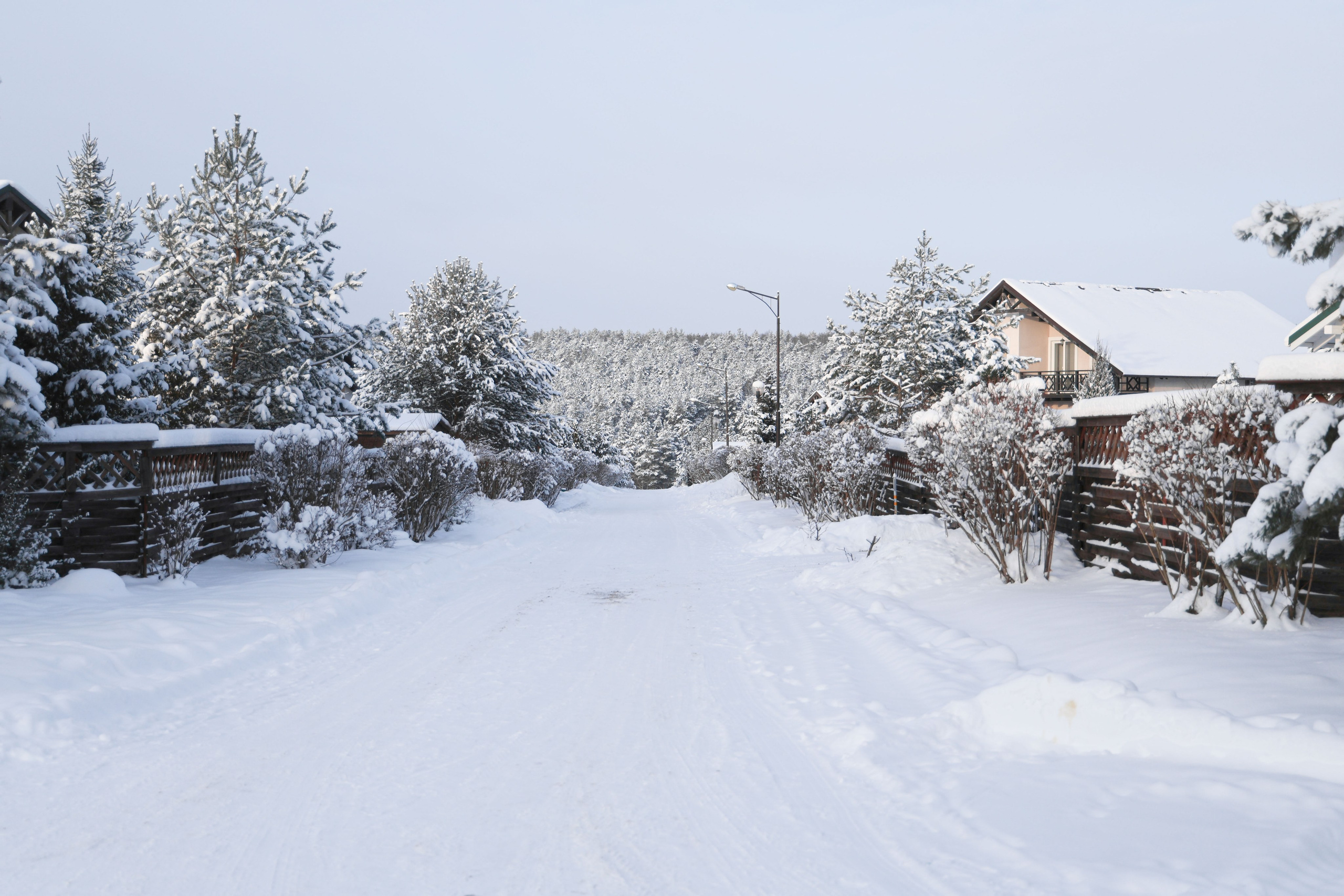 Рождествено Зима 2026. Фотограф Максим Татаринов