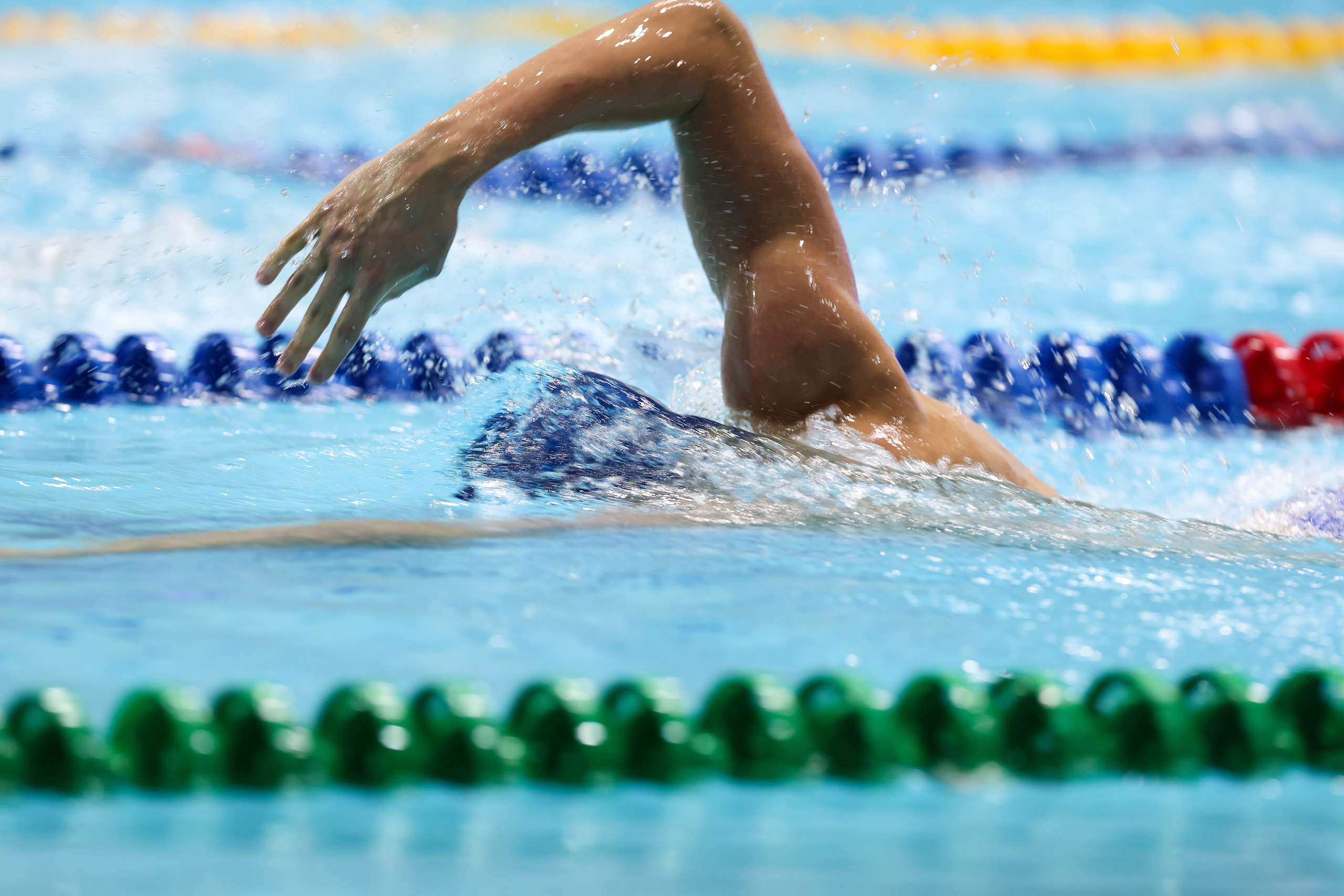 Чемпионат России по плаванию 25 м 20-25.11.2023. Спортивный и репортажный фотограф Антон Тереханов