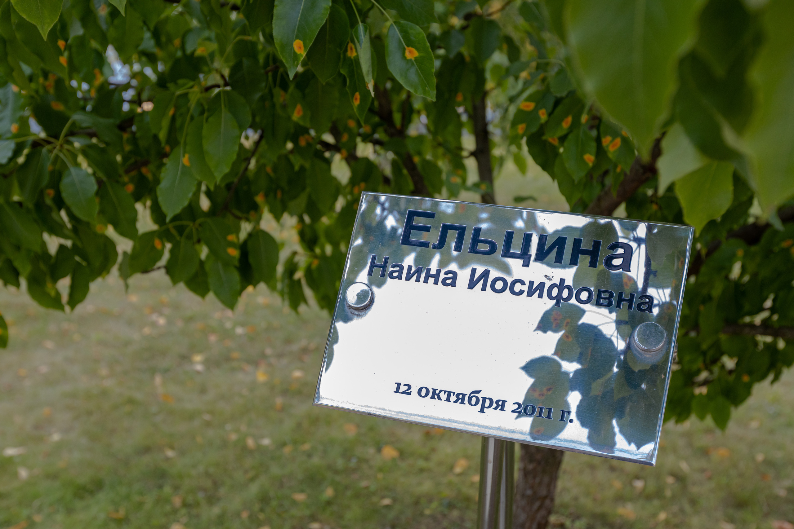 Кардеологический центр им. Бакулева (г. Москва). Фотограф в Туле Крупский АнДРей. Фотостудия «КАДР71» в Туле