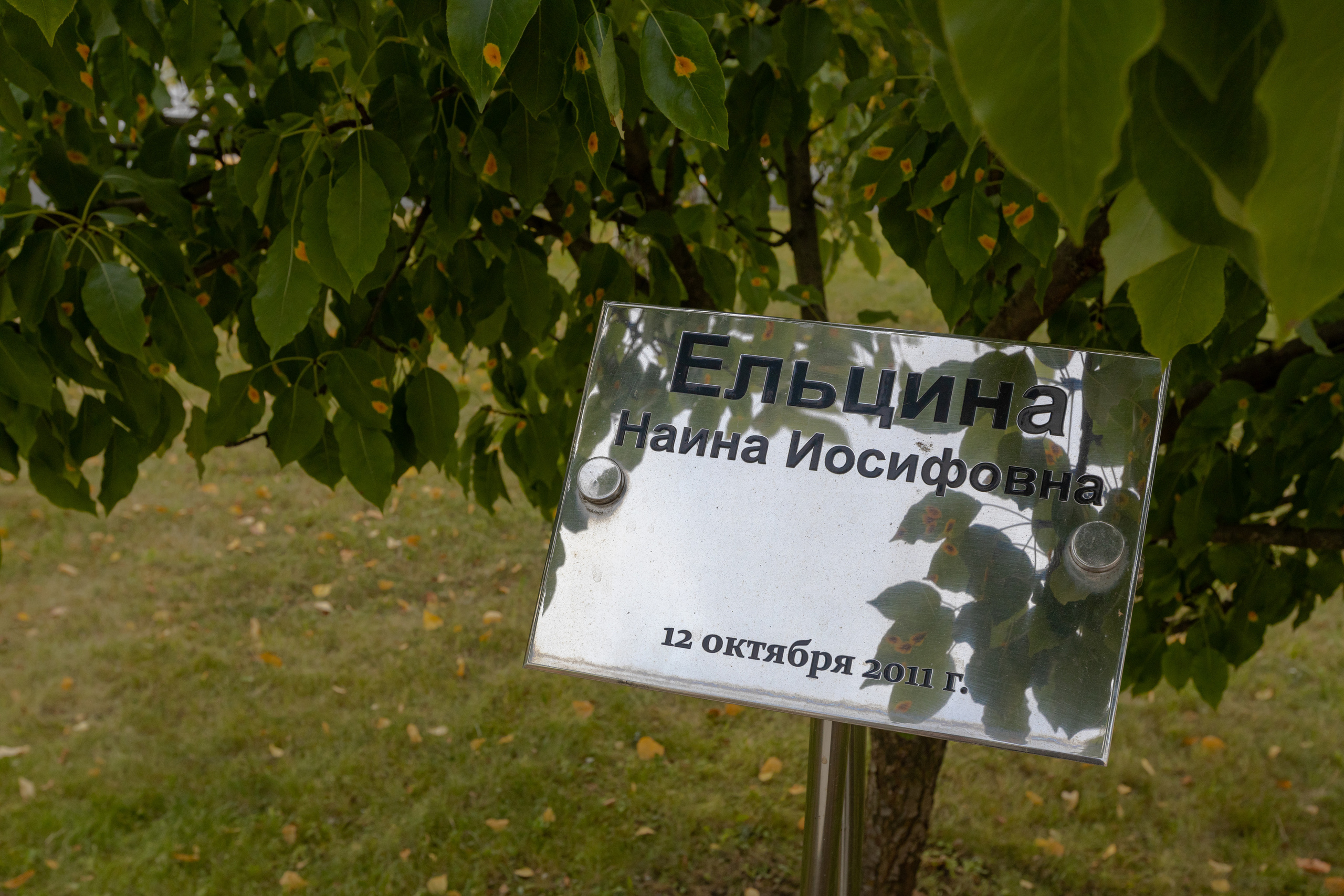 Кардеологический центр им. Бакулева (г. Москва). Фотограф в Туле Крупский АнДРей. Фотостудия «КАДР71» в Туле
