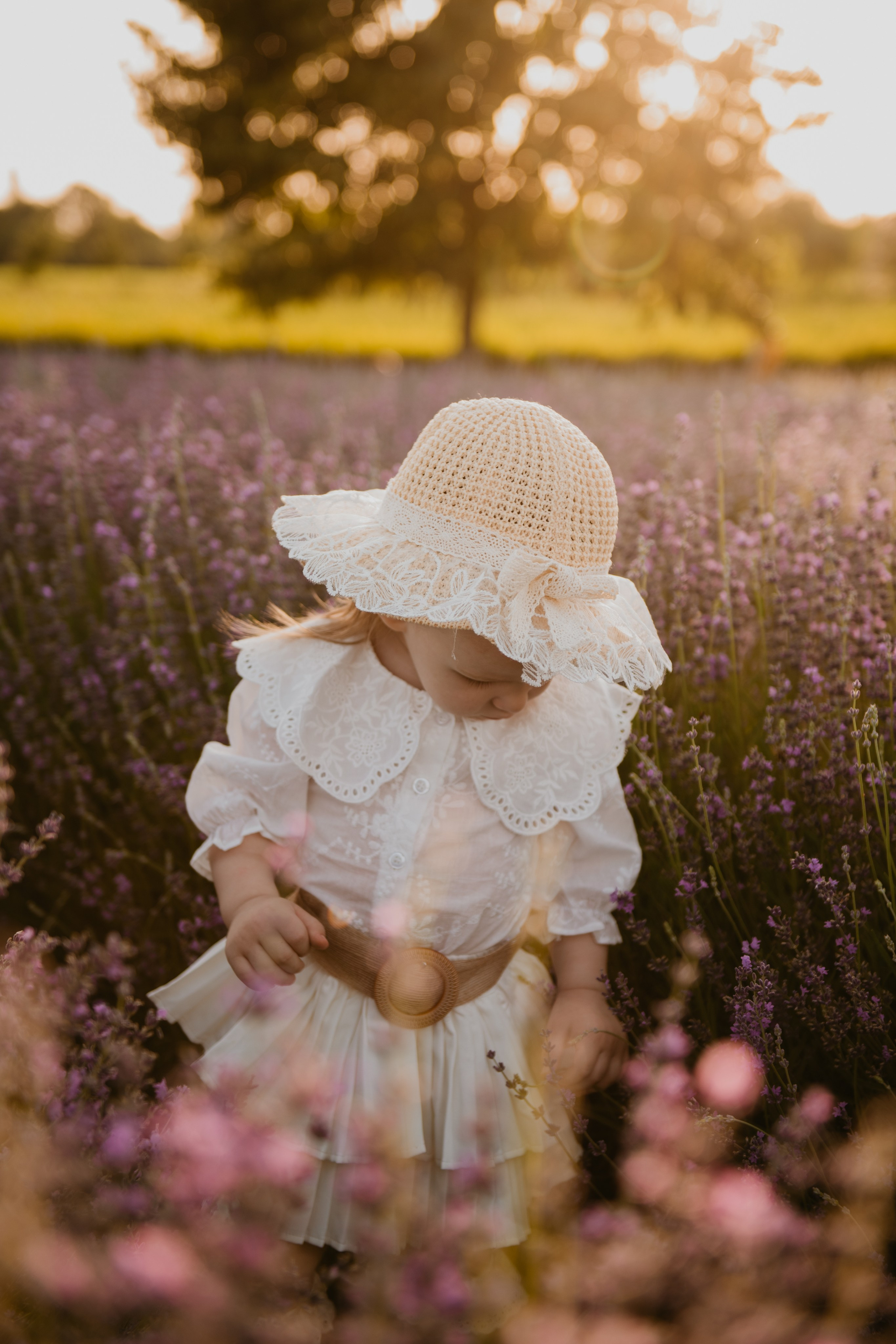 Лавандовая история. Детский и семейный фотограф в Армавире Даша Зубкова