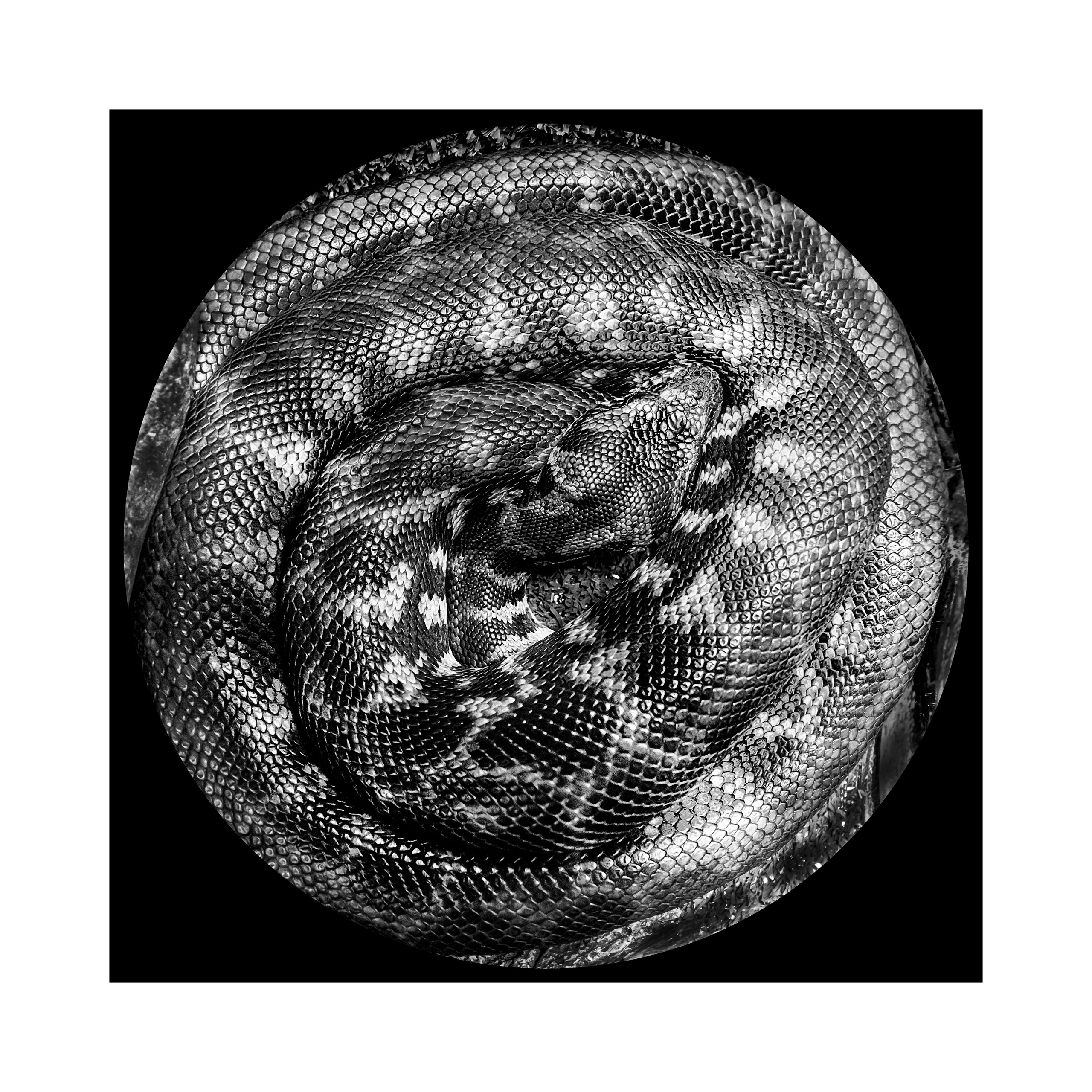 Фотопроект «Круги жизни». Портретный фотограф в Челябинске Катерина Руди