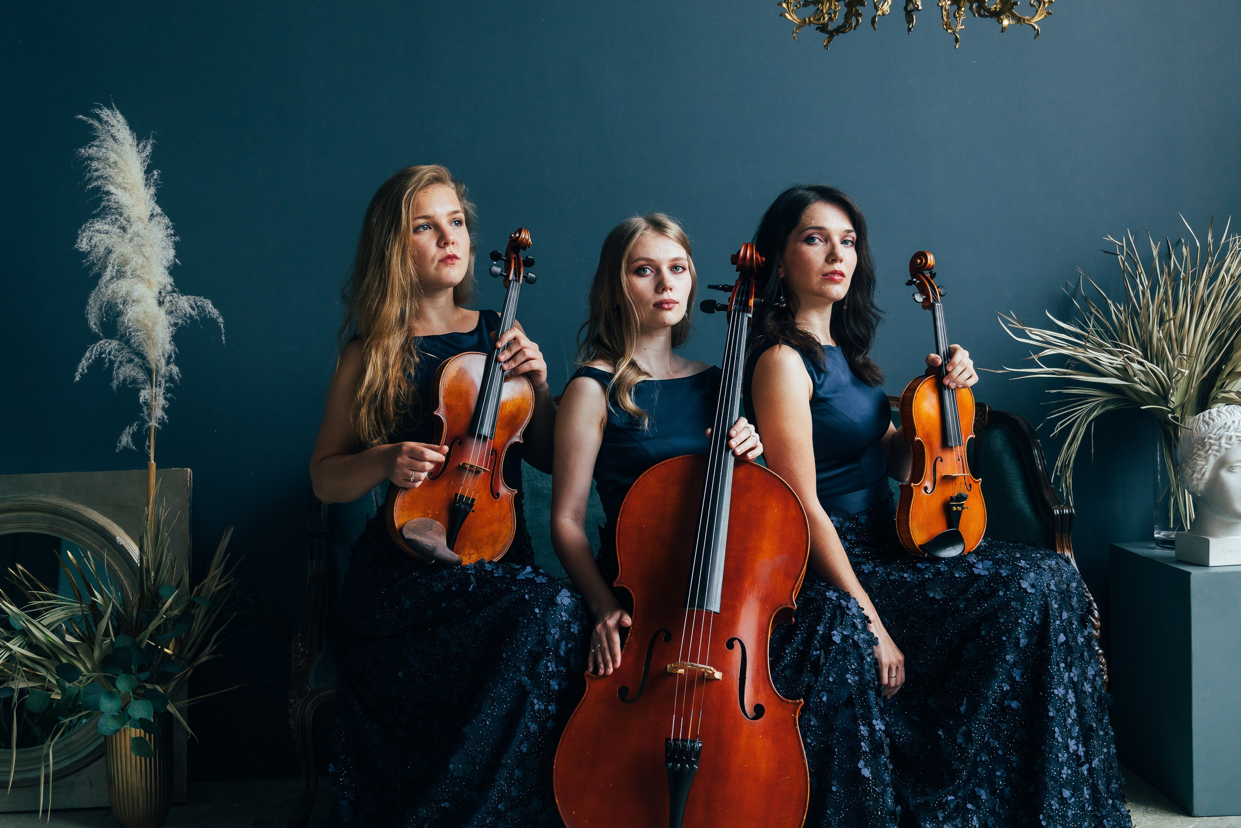 🎻. Фотограф Вика Про