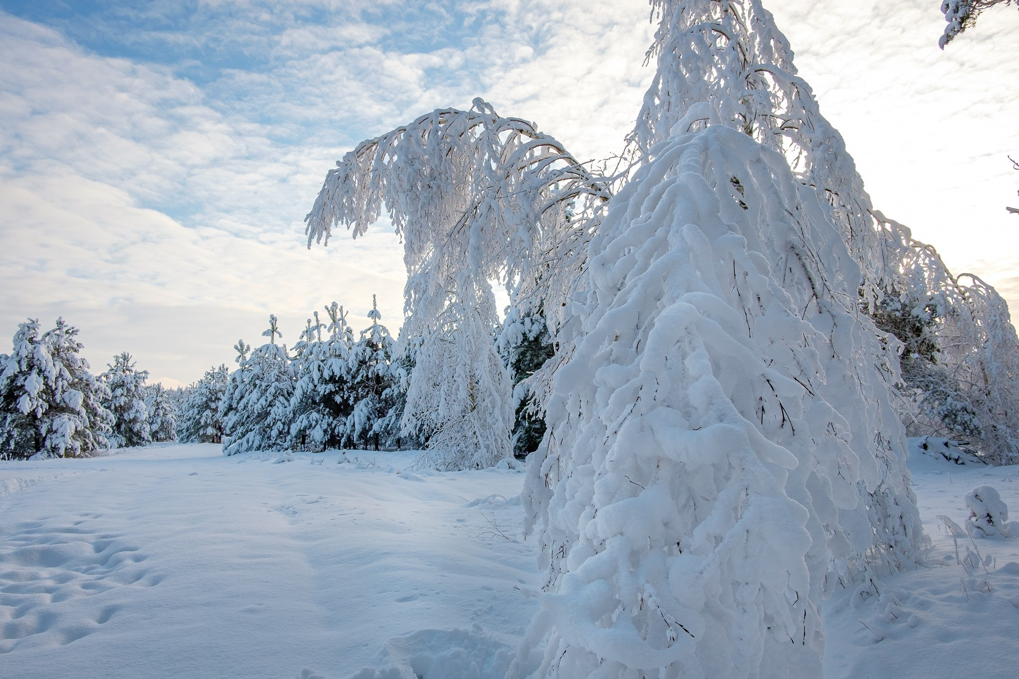 Авторская фотография фотографа Бориса Флорина.
