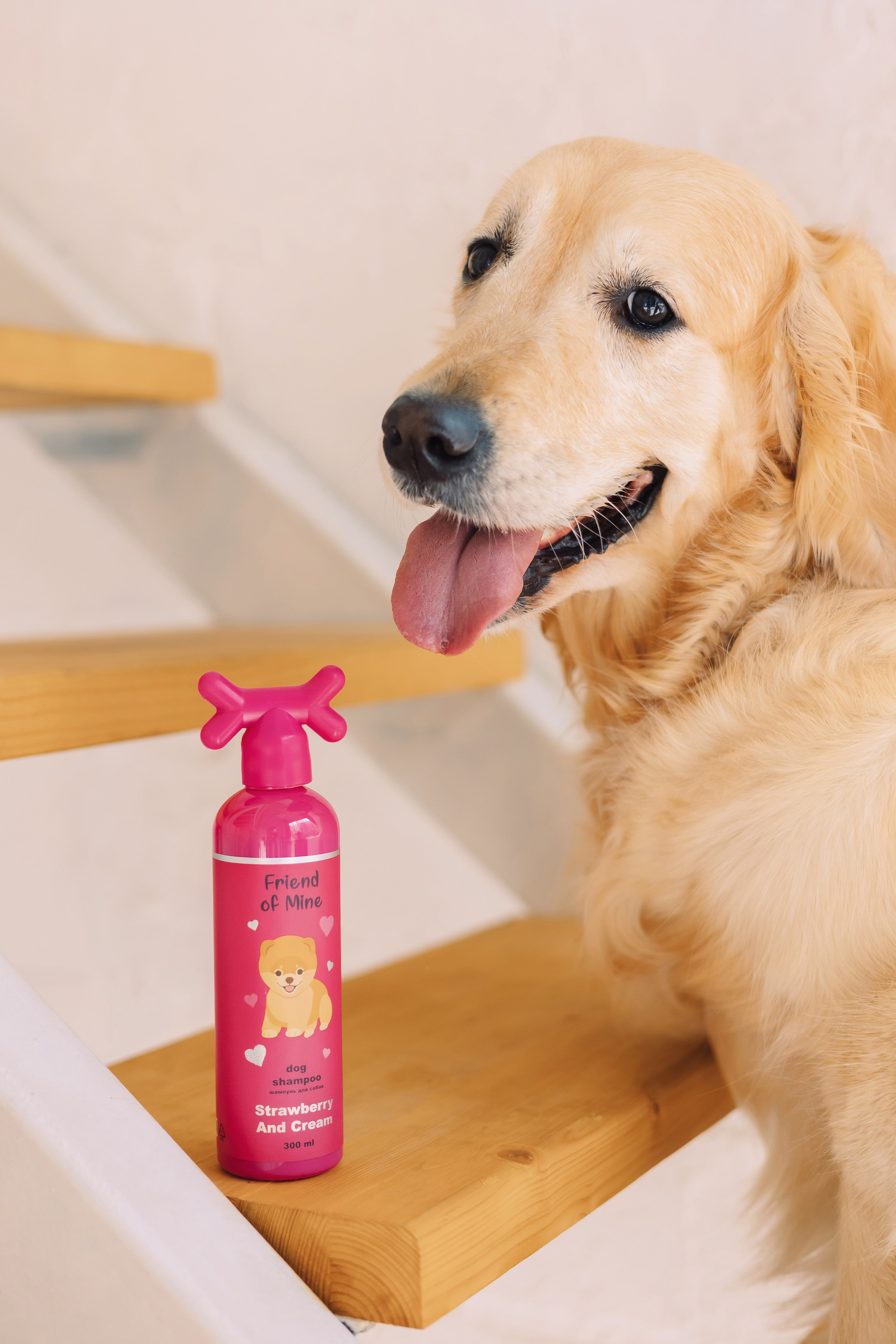 Магазин Friend of mine. Фотограф-анималист Елена Радченко, Москва