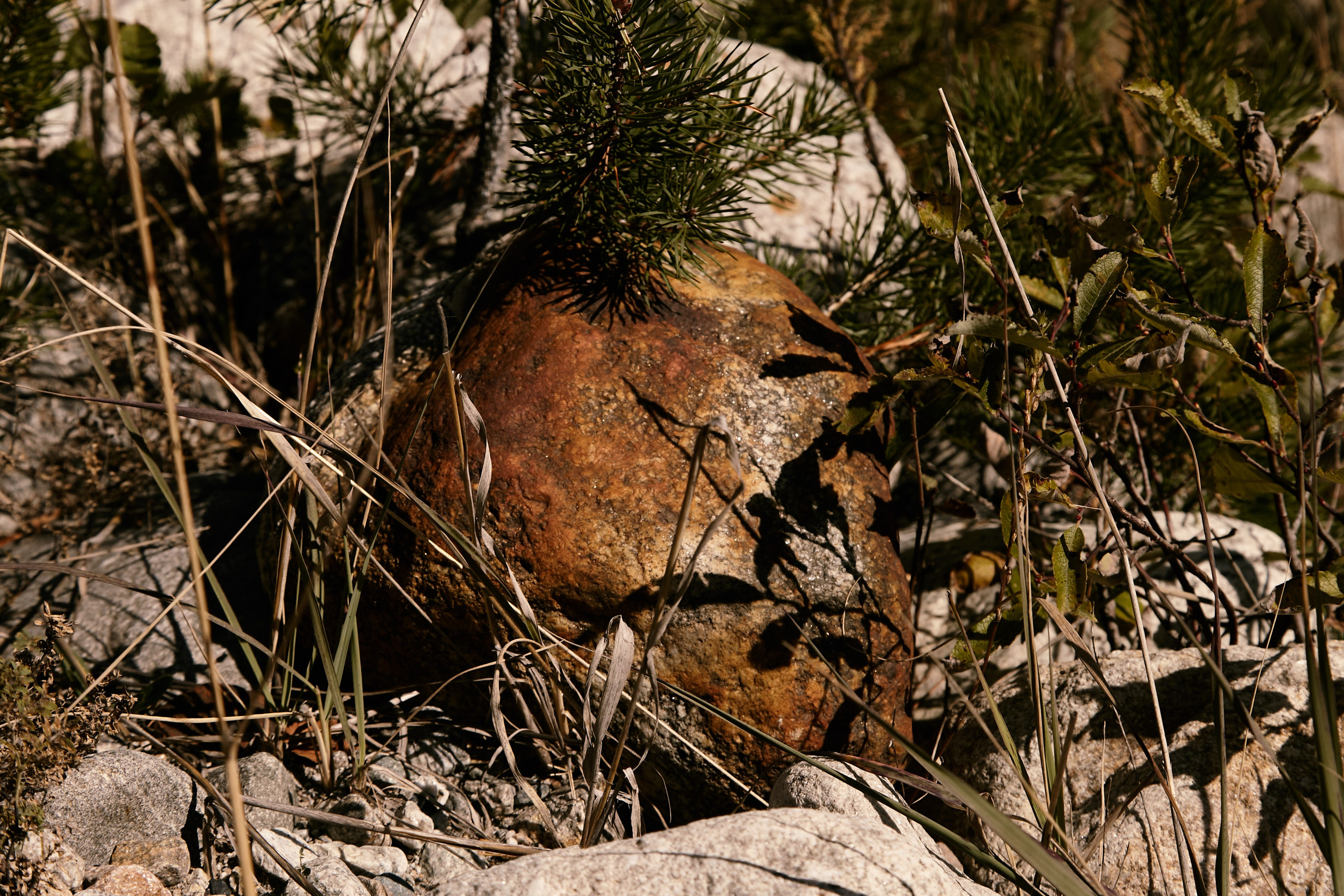 Чегем, дорога к леднику Шаурту. Фотограф Продюсер в горах КБР / Москва  Нальчик Горы