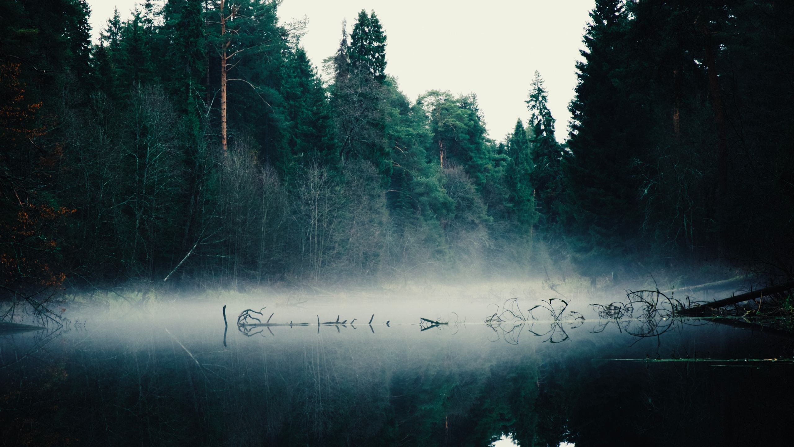 Пейзажи. Фотограф-любитель из Кирова Андрей Погребняк