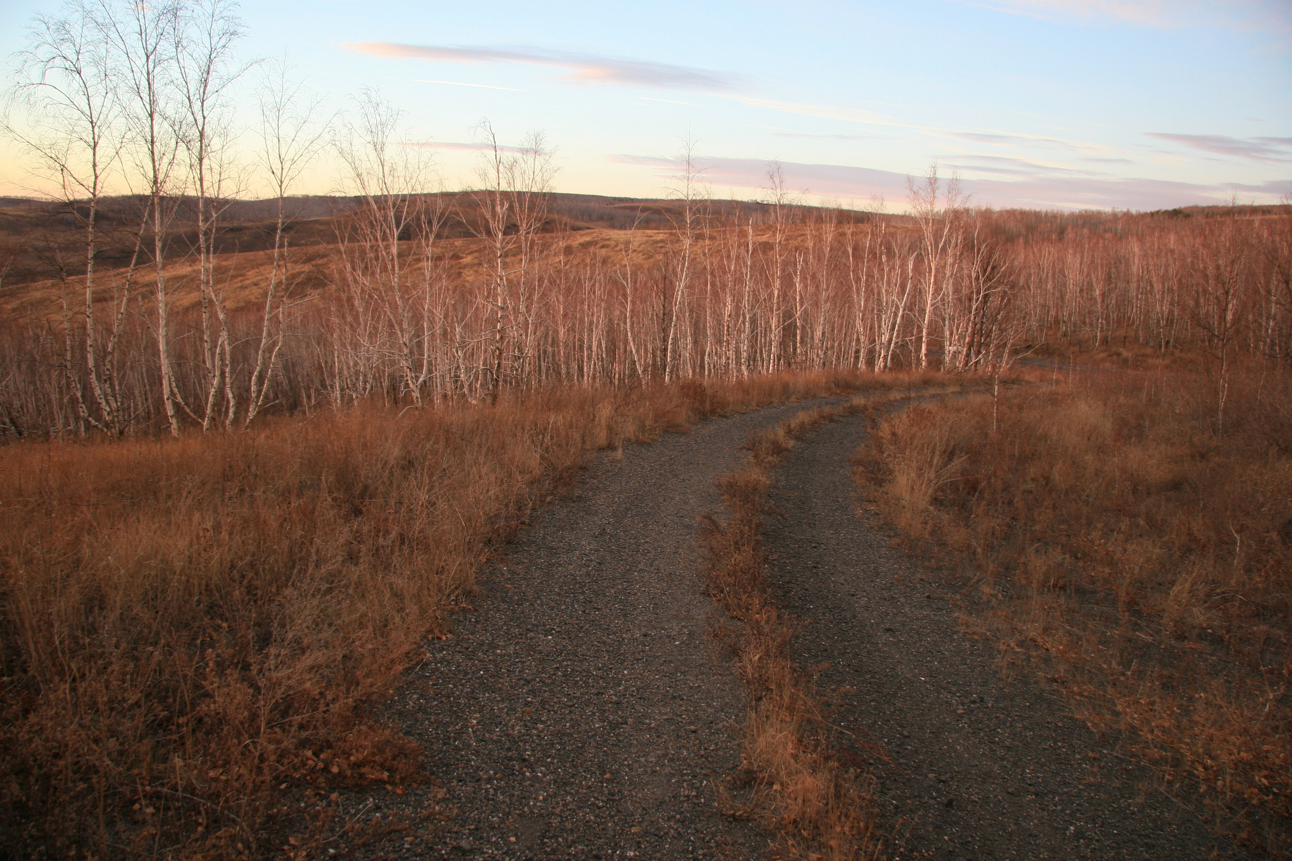 Фото Природы Забайкалья. Студия Максима Белослюдцева