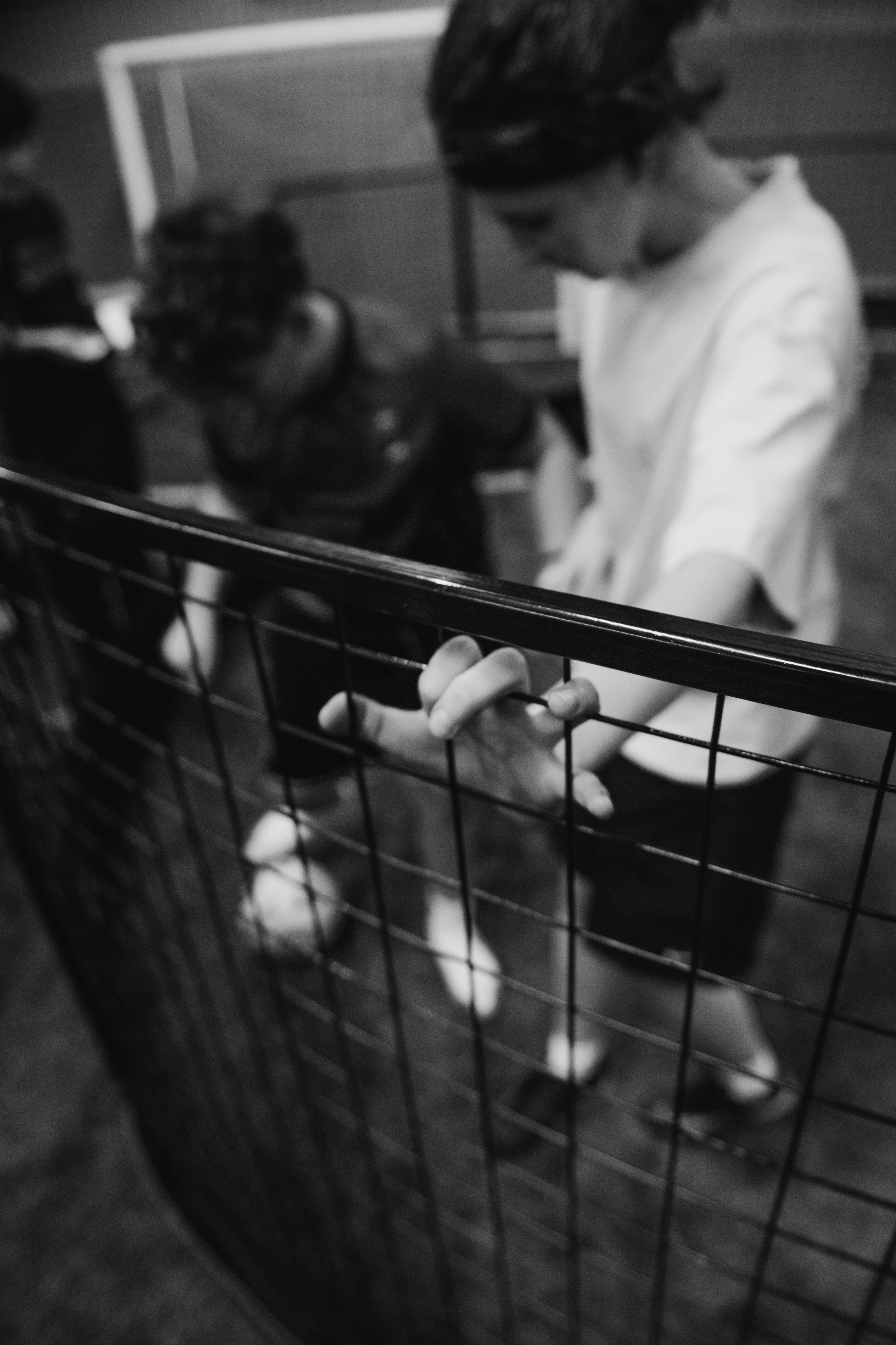 Турнир по футбольному фристайлу, панне и теннисболу