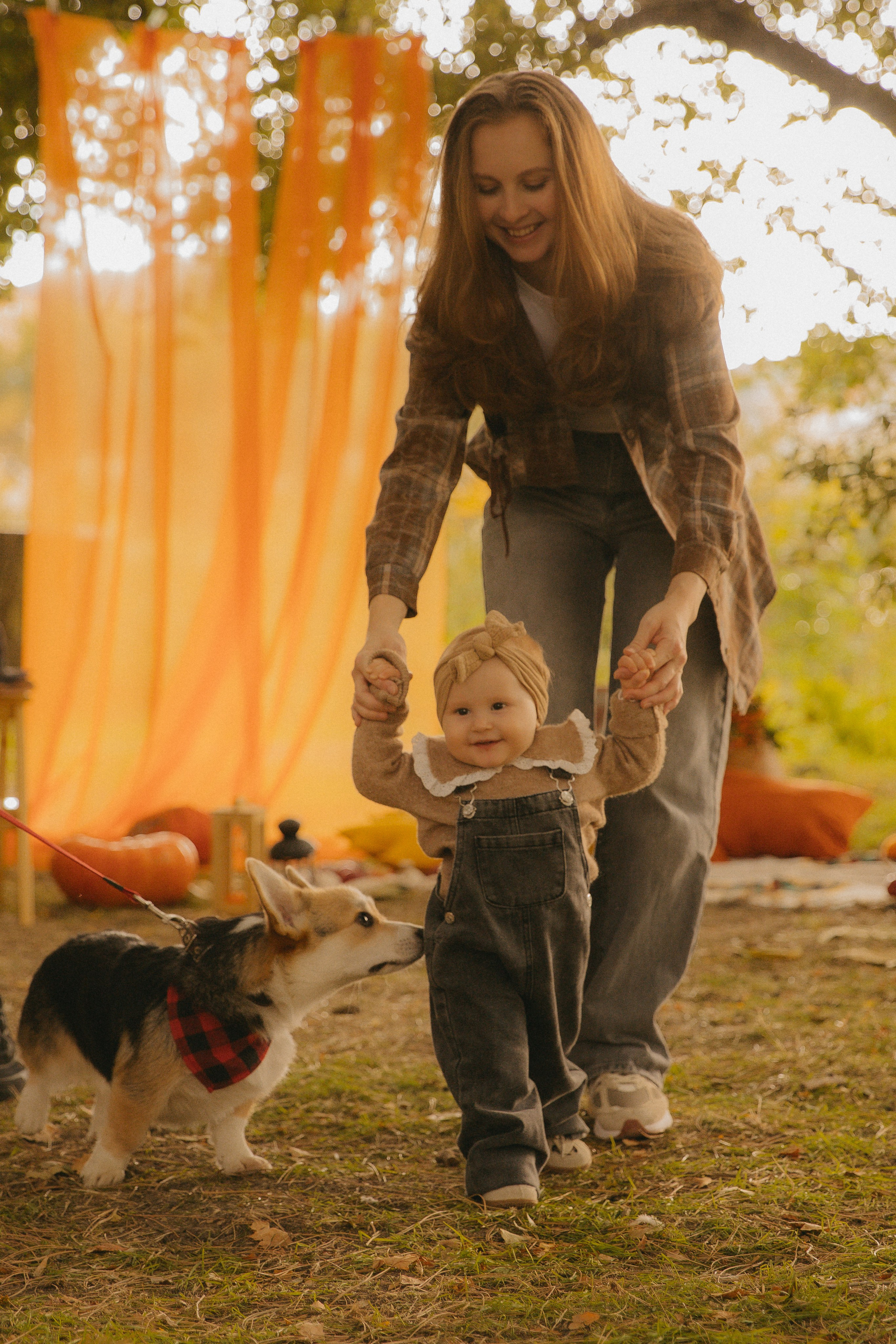 Фотопроект с корги