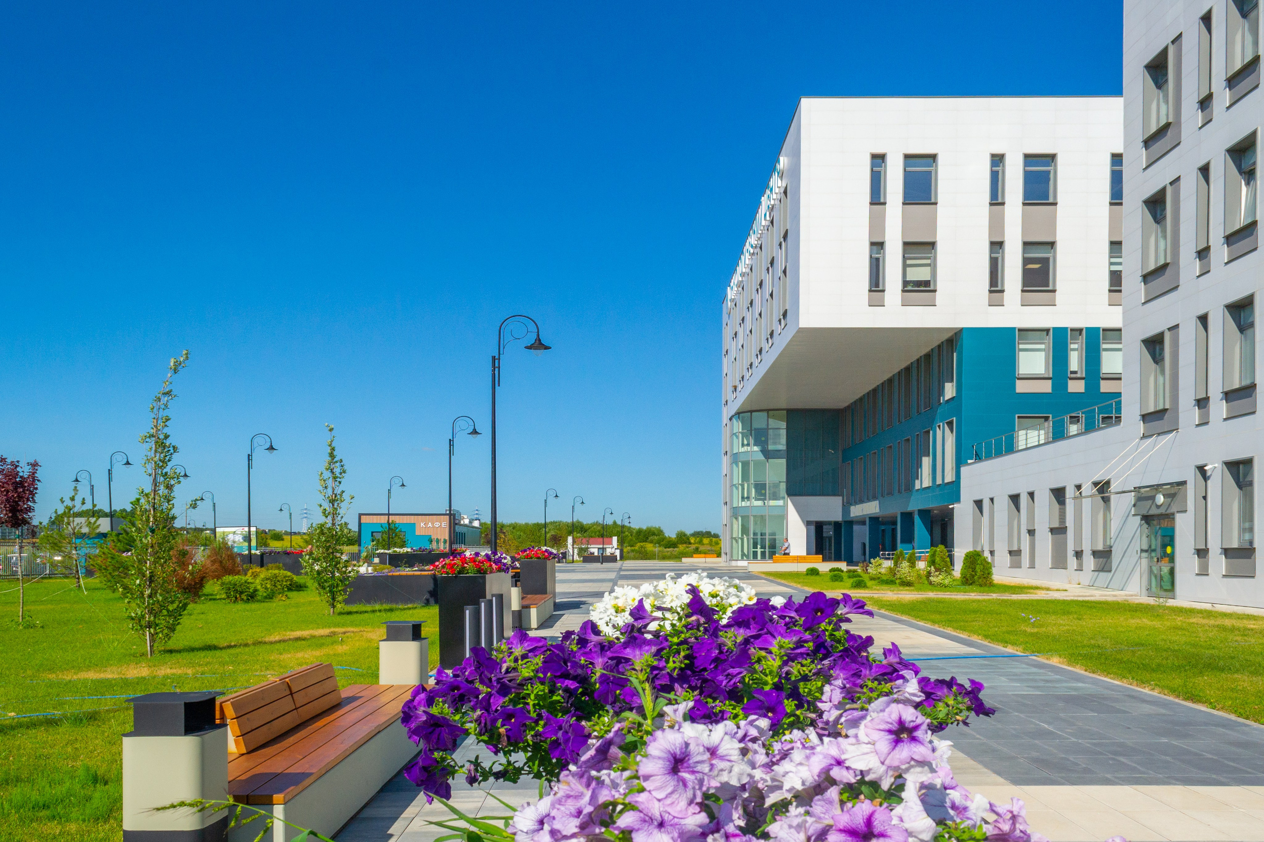 Тульская областная онкологическая больница (лето-цветы, NIKON D3100 35 мм F1,8)). Фотограф в Туле Крупский АнДРей. Фотостудия «КАДР71» в Туле