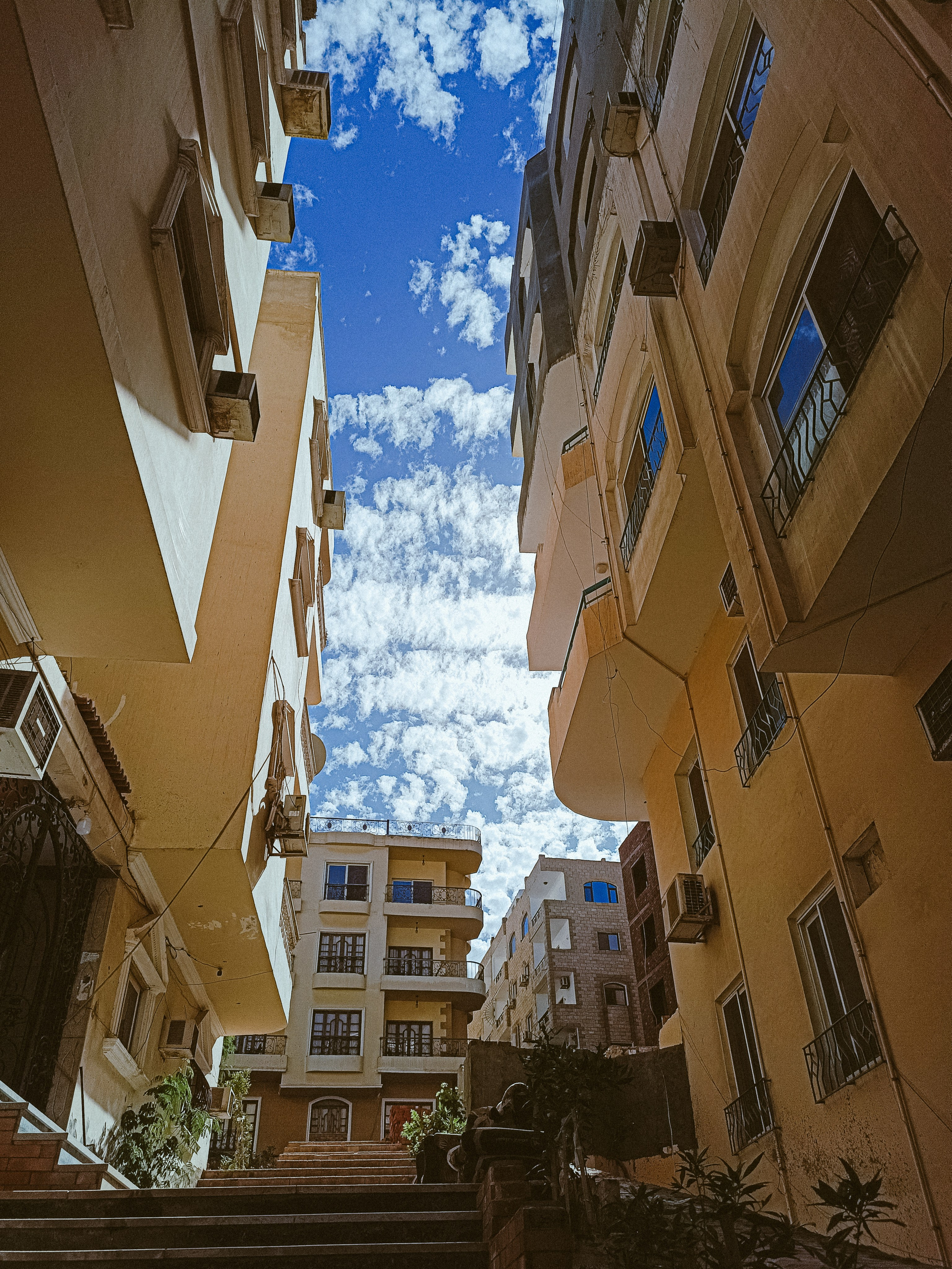 Мобильная. Jorgis — фотограф в Хургаде / обучение фотографии