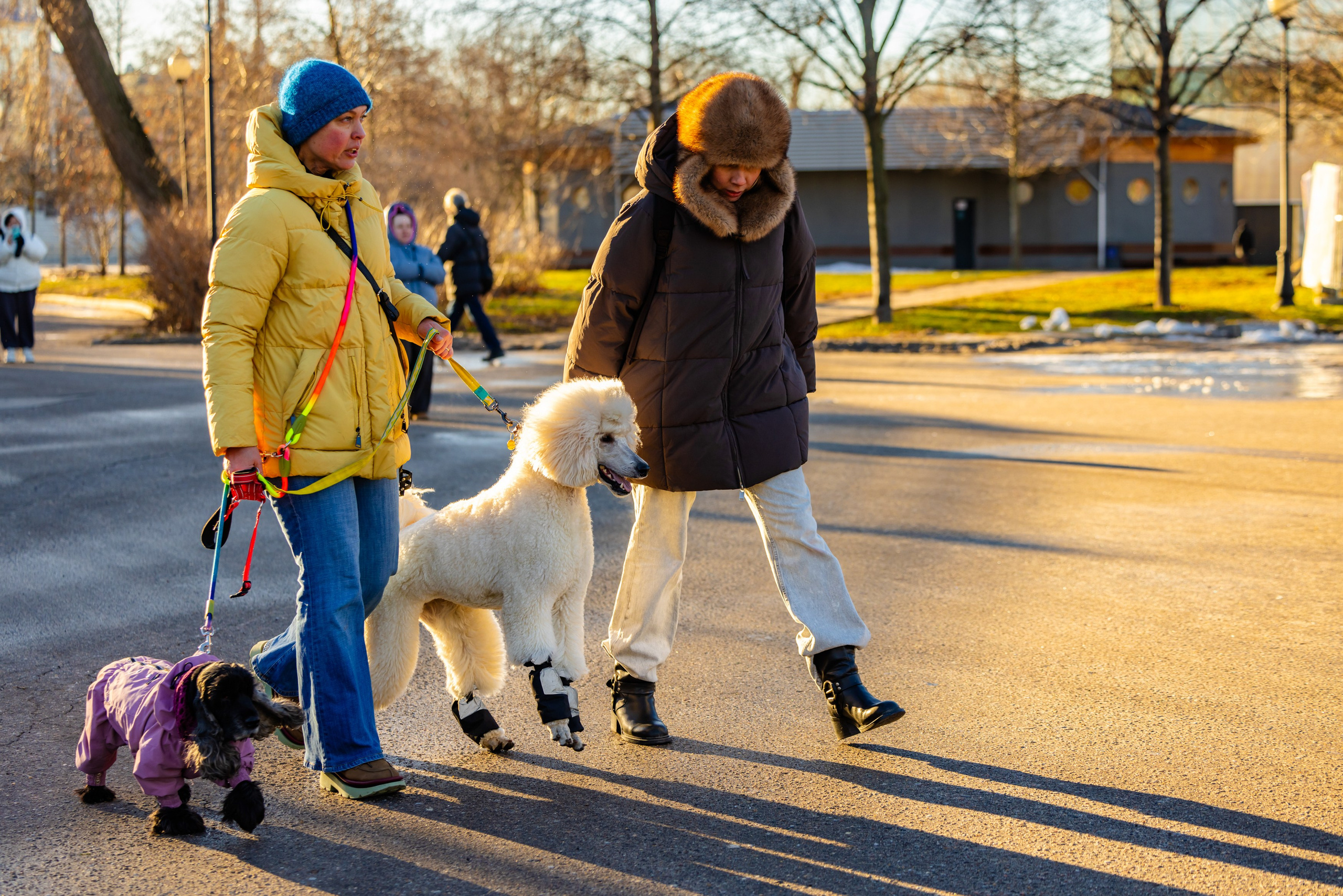 Клуб грумеров (прогулка и семинары). Виктория Зудина — фотограф в Москве